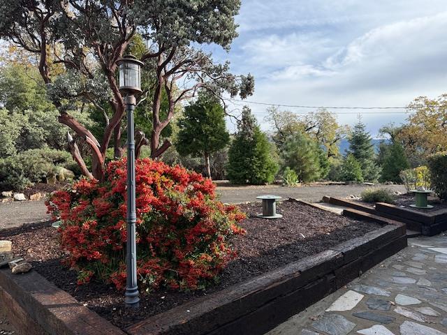 Oakhurst, California, 93644, United States, 4 Bedrooms Bedrooms, ,3 BathroomsBathrooms,Residential,For Sale,1992773