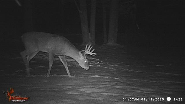 Big Rapids, Michigan, 49307, United States, 3 Bedrooms Bedrooms, ,2 BathroomsBathrooms,Residential,For Sale,1951282