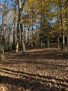 Murphy, North Carolina, 28906, United States, 4 Bedrooms Bedrooms, ,4 BathroomsBathrooms,Residential,For Sale,1989693