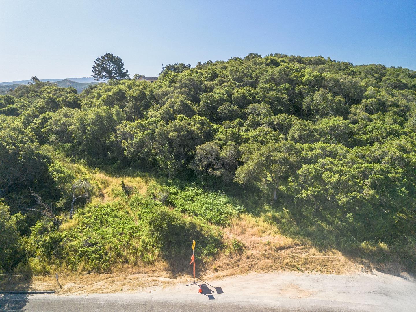 Salinas, California, 93907, United States, ,Land,For Sale,1827358