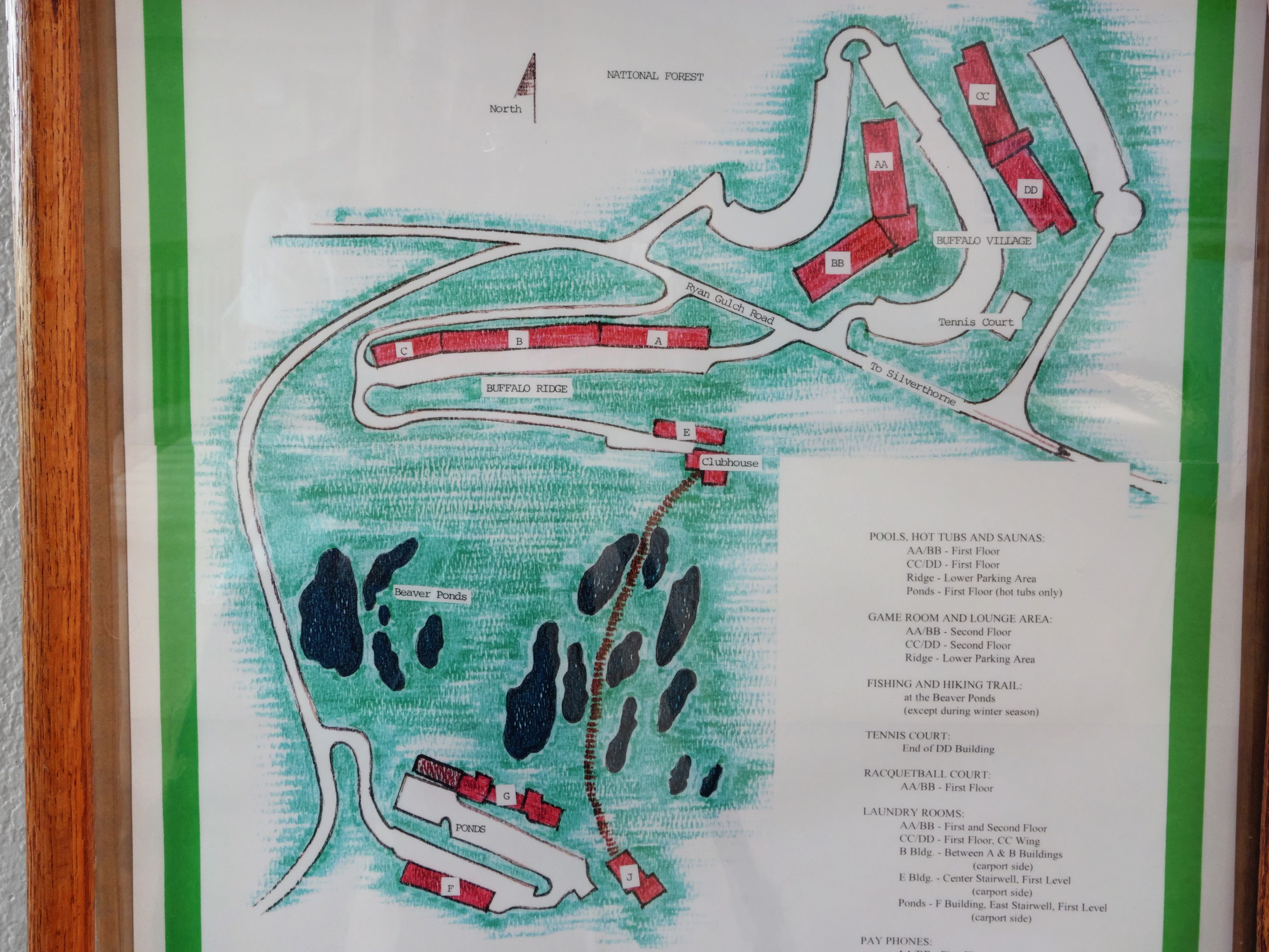  Enjoy The Convenience of Buffalo Ridge - 物件實景