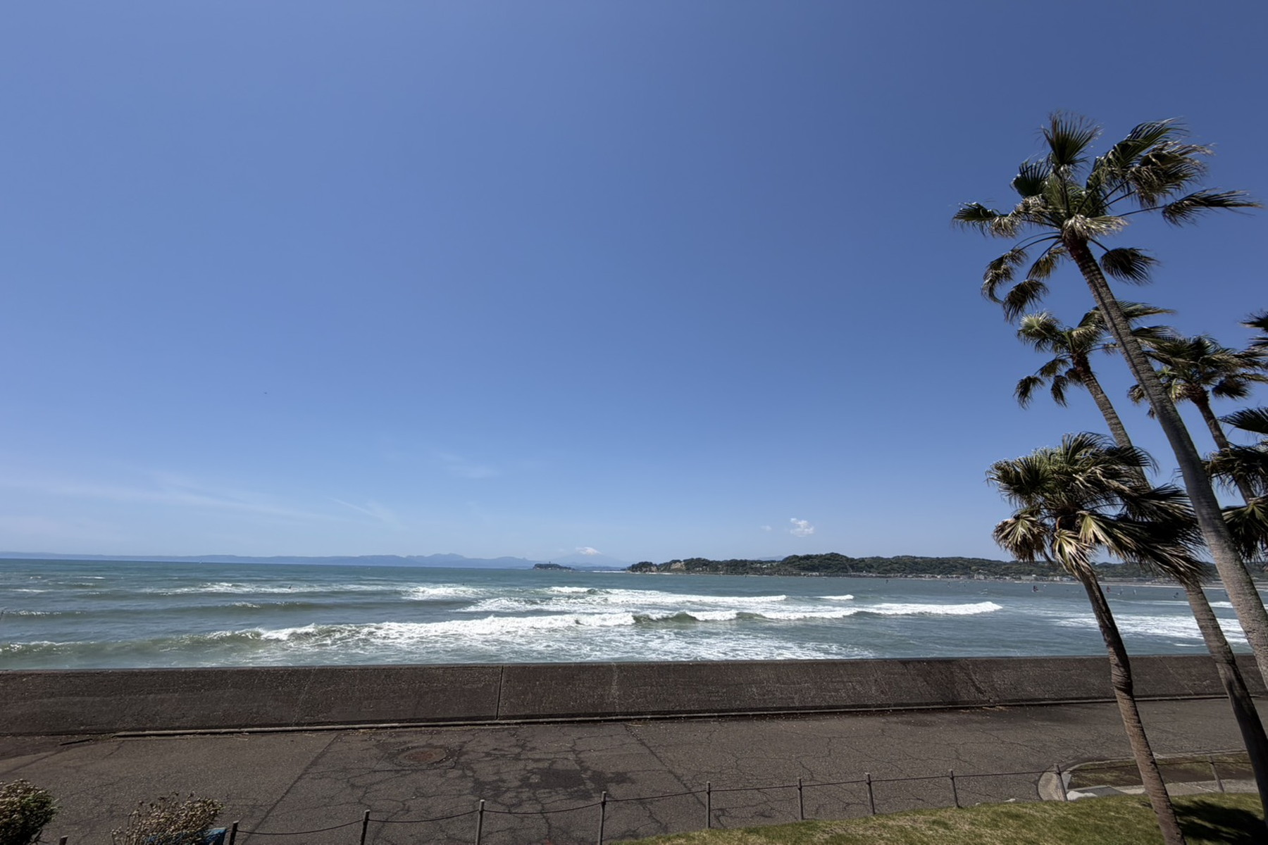  Building 1, Zushi Marina - 物件實景