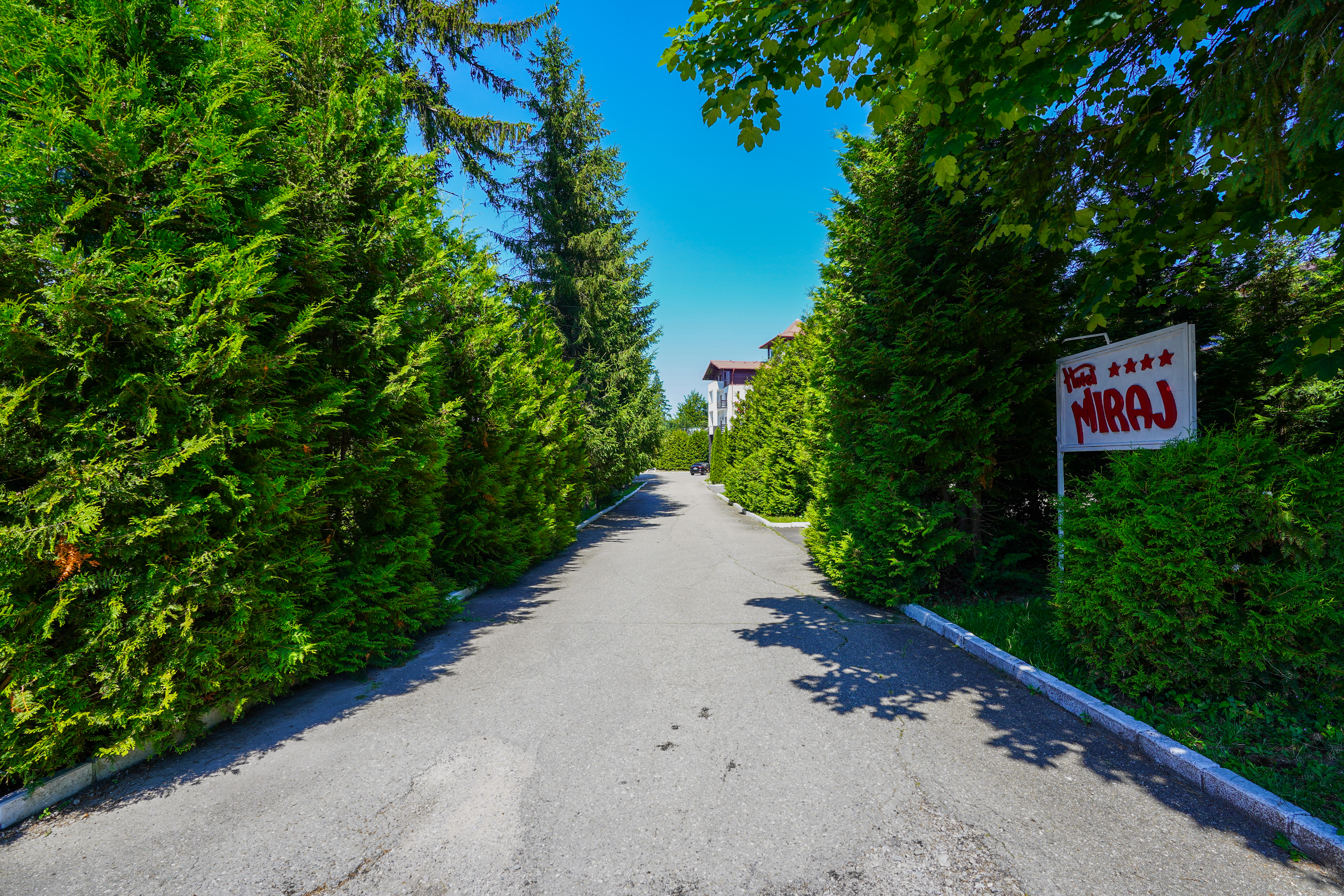  Hotel Miraj – 4-Star Hotel in the Heart of the Poiana Braov Mountain Resort - 物件實景