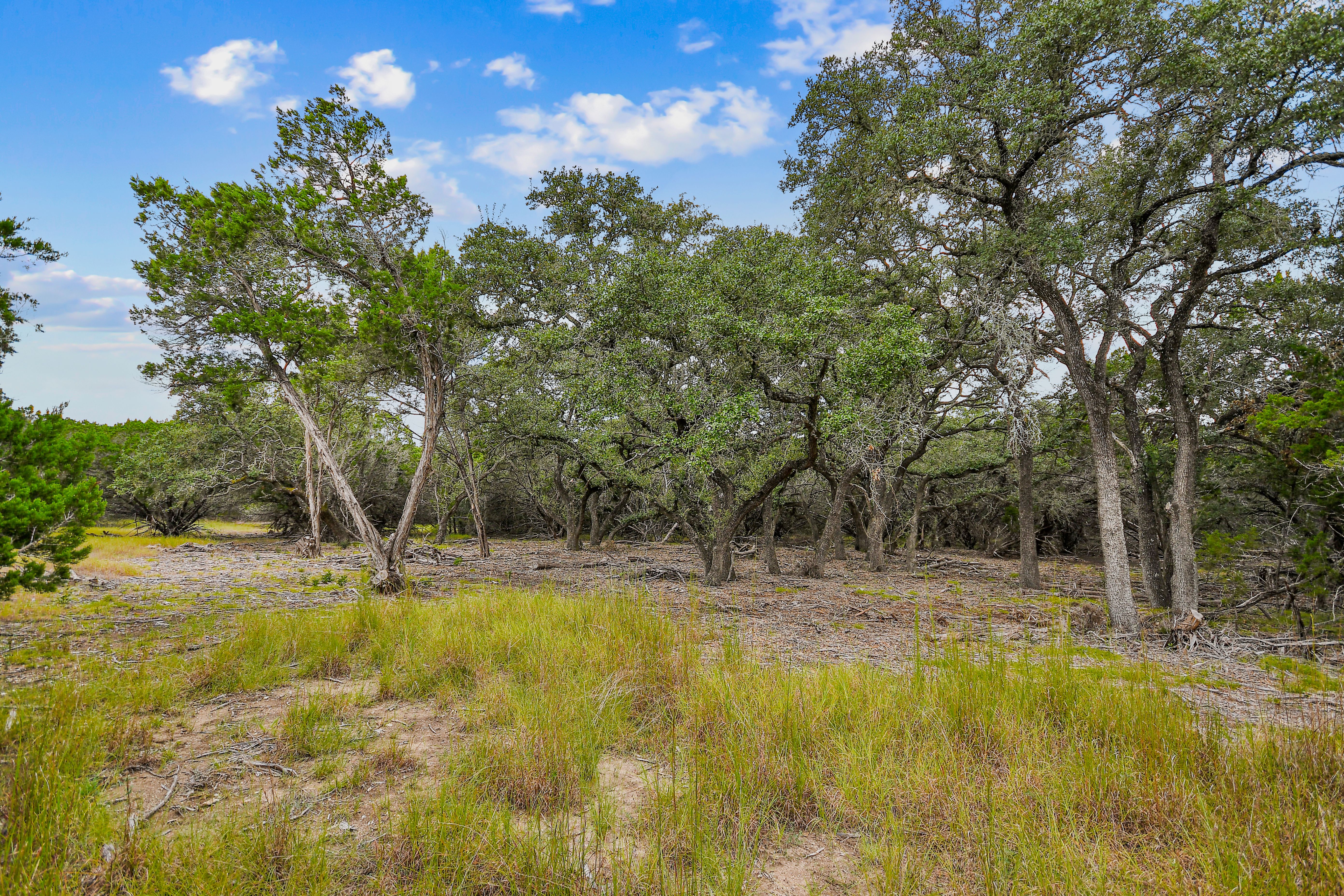  TBD Hwy 46 / Madrona Ranch Road, Pipe Creek, TX 78063 - 物件實景