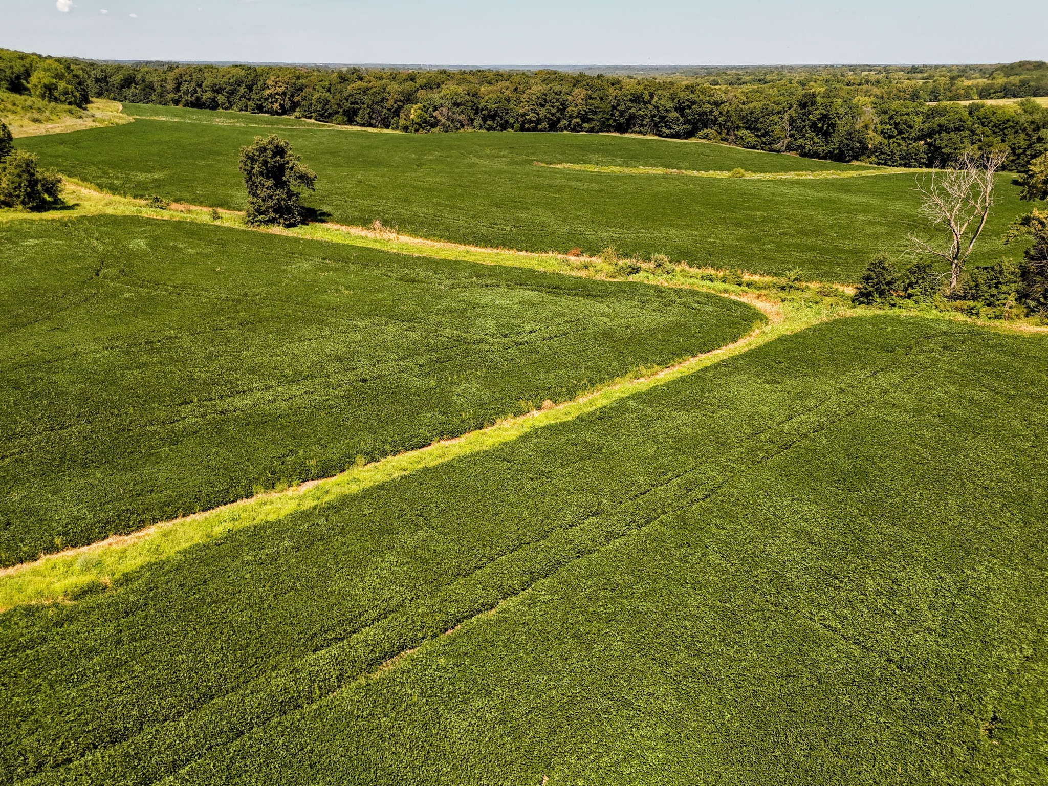 Monroe City, Missouri, 63456, United States, ,Land,For Sale,1980469