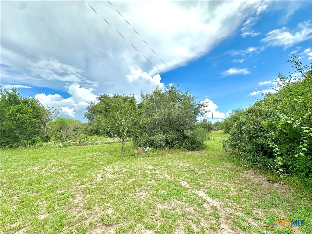 Nursery, Texas, 77976, United States, ,Land,For Sale,1885536