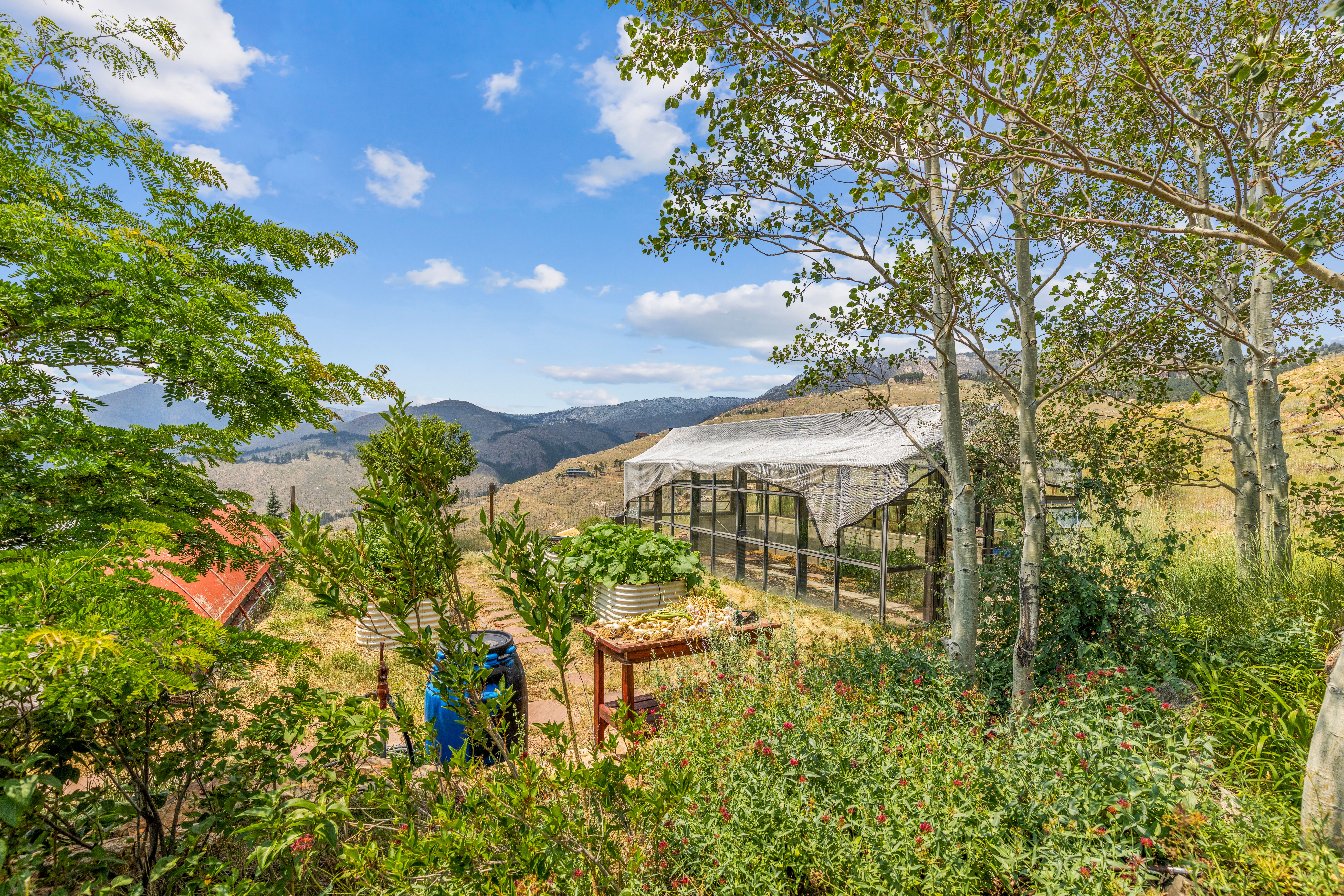  Beautiful Sunshine Canyon Home - 物件實景