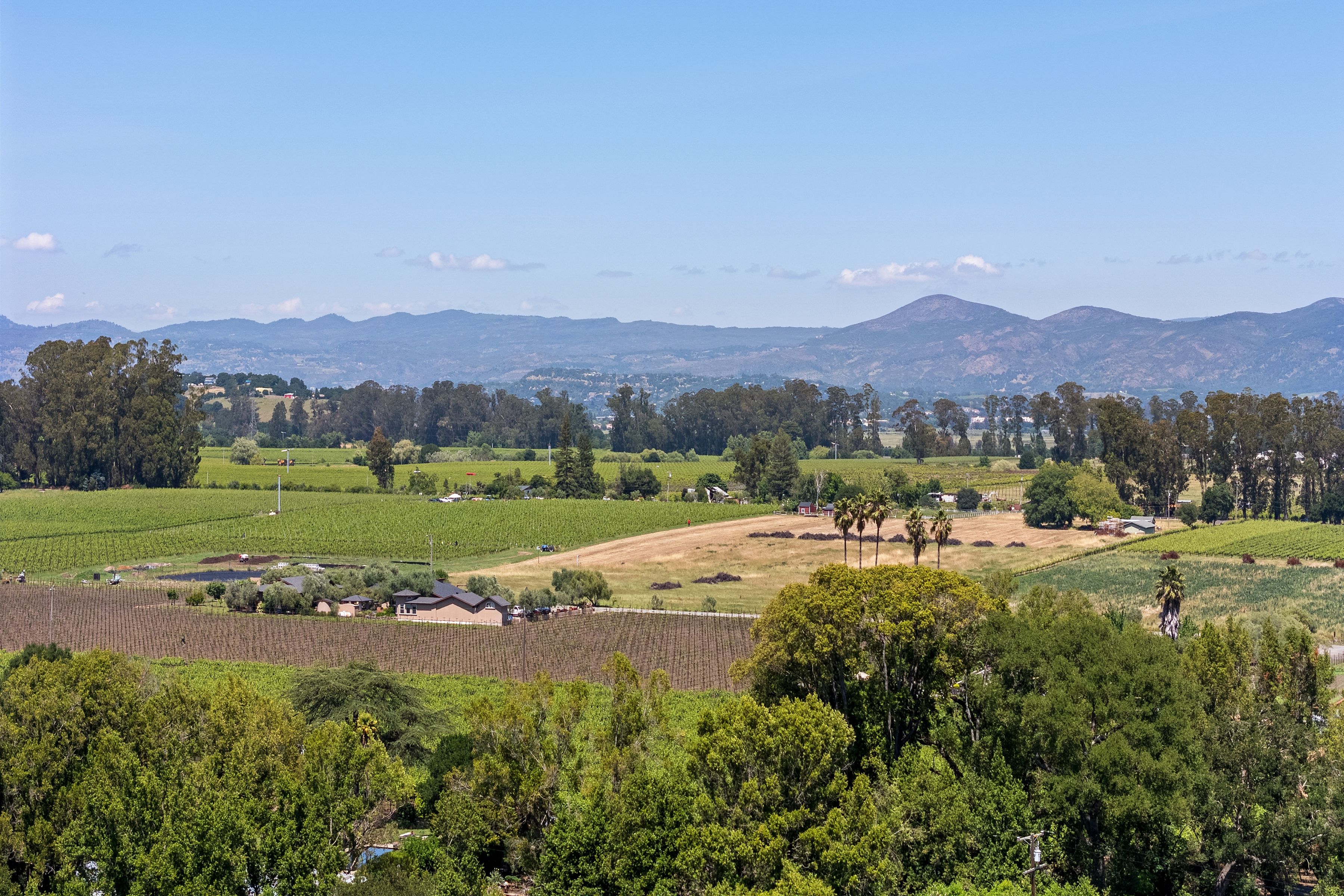  1081 Las Amigas Road, Napa - 物件實景