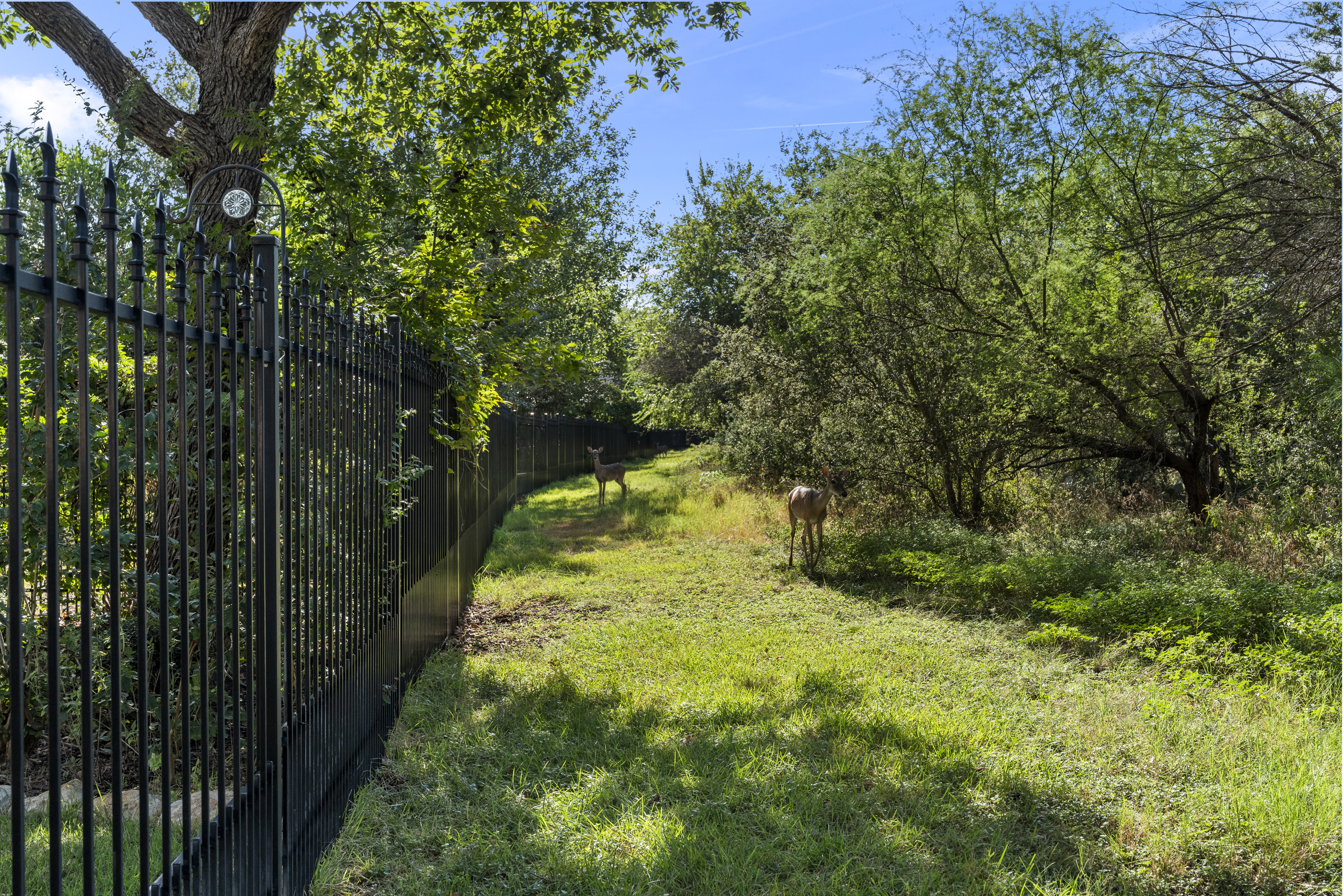  Peaceful greenbelt living in Roseheart - 物件實景