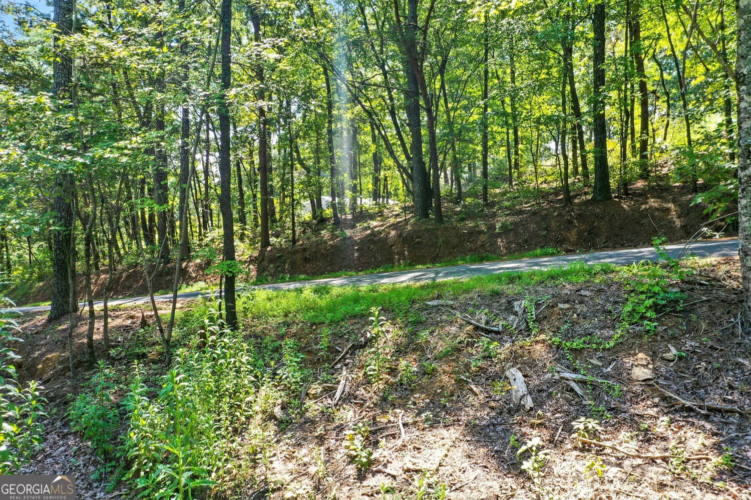 Waleska, Georgia, 30183, United States, ,Land,For Sale,1929808