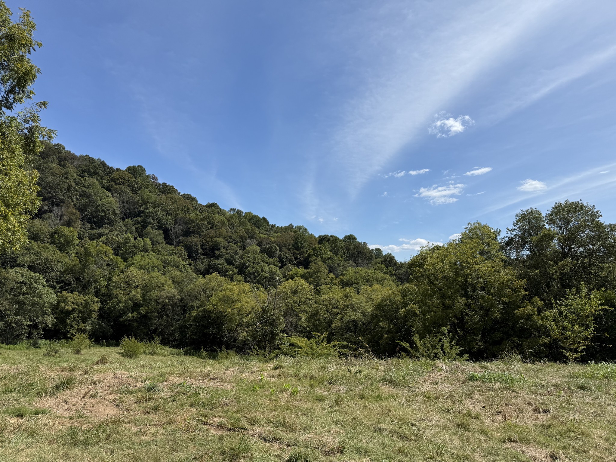 Celina, Tennessee, 38551, United States, ,Land,For Sale,1977132