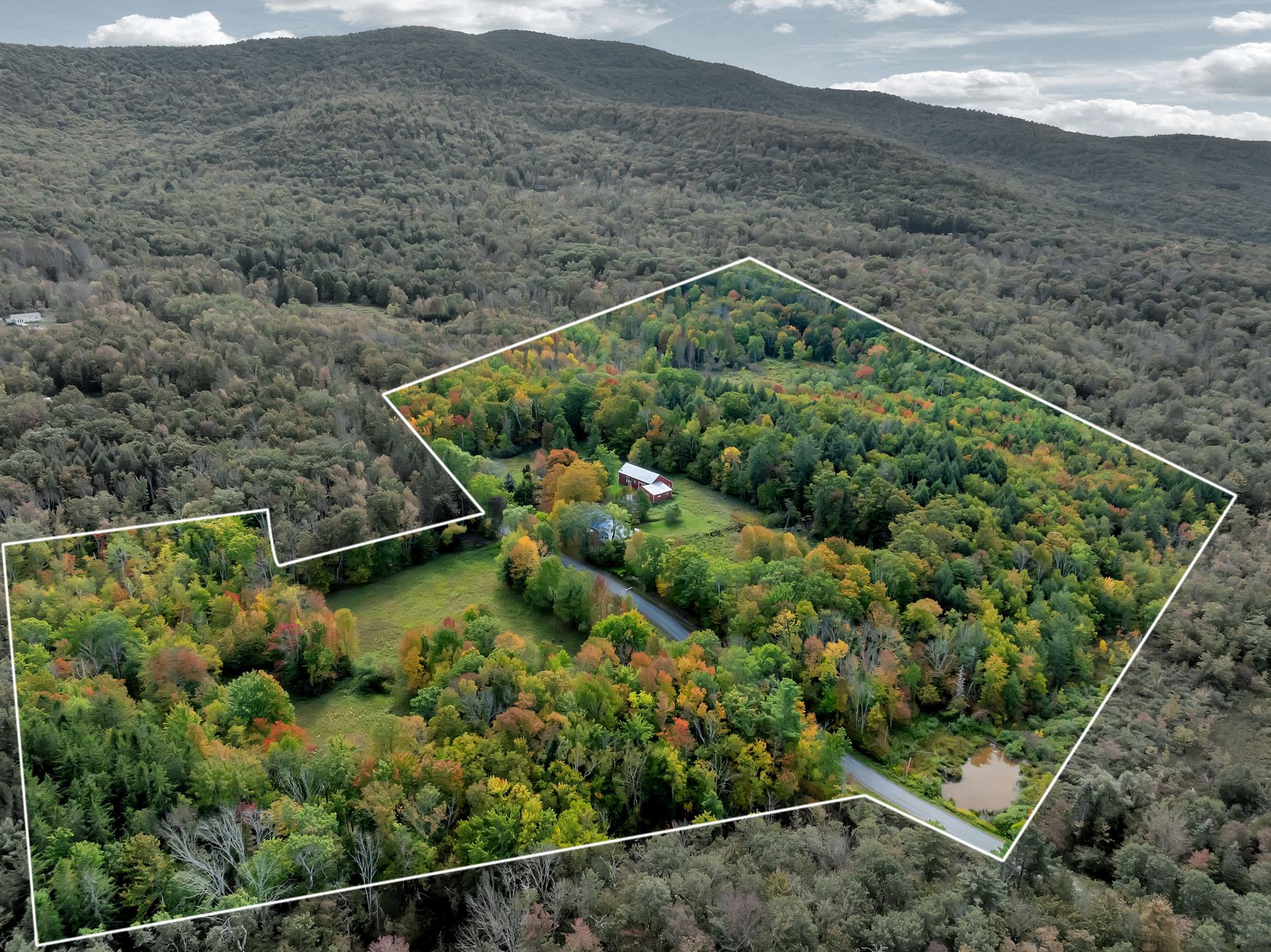  161 Beaver Hill Road, Gilboa, NY 12076 - 物件實景
