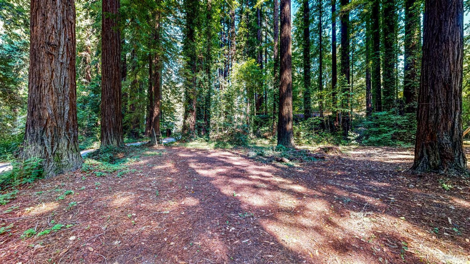 Monte Rio, California, 95462, United States, 2 Bedrooms Bedrooms, ,3 BathroomsBathrooms,Residential,For Sale,1861966