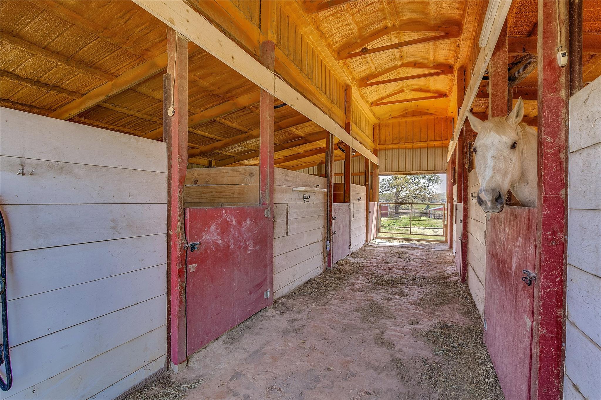 Sulphur Springs, Texas, 75482, United States, 4 Bedrooms Bedrooms, ,3 BathroomsBathrooms,Residential,For Sale,2032755