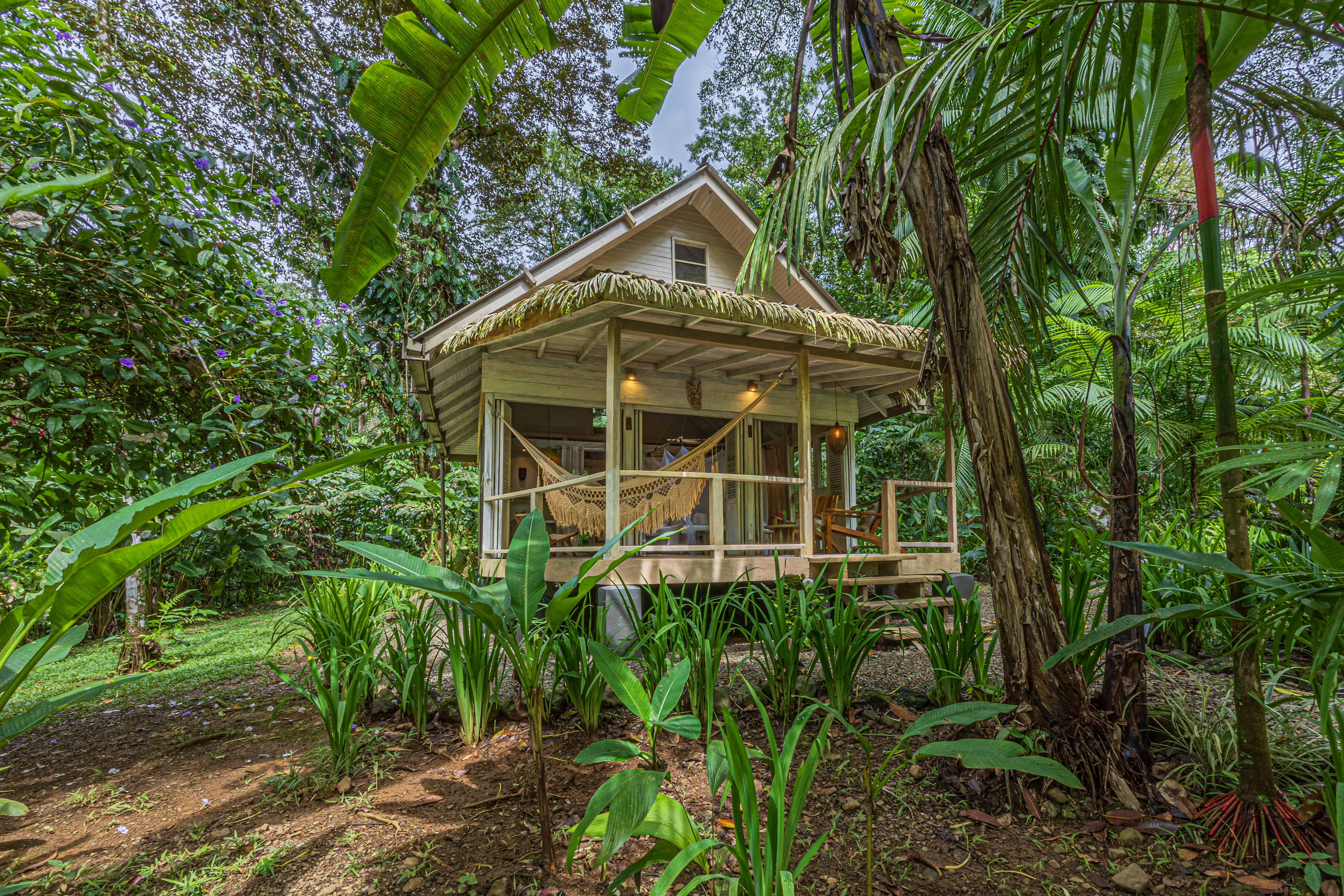 Golfito, Puntarenas, CR, 15 Bedrooms Bedrooms, ,13 BathroomsBathrooms,Residential,For Sale,1903279