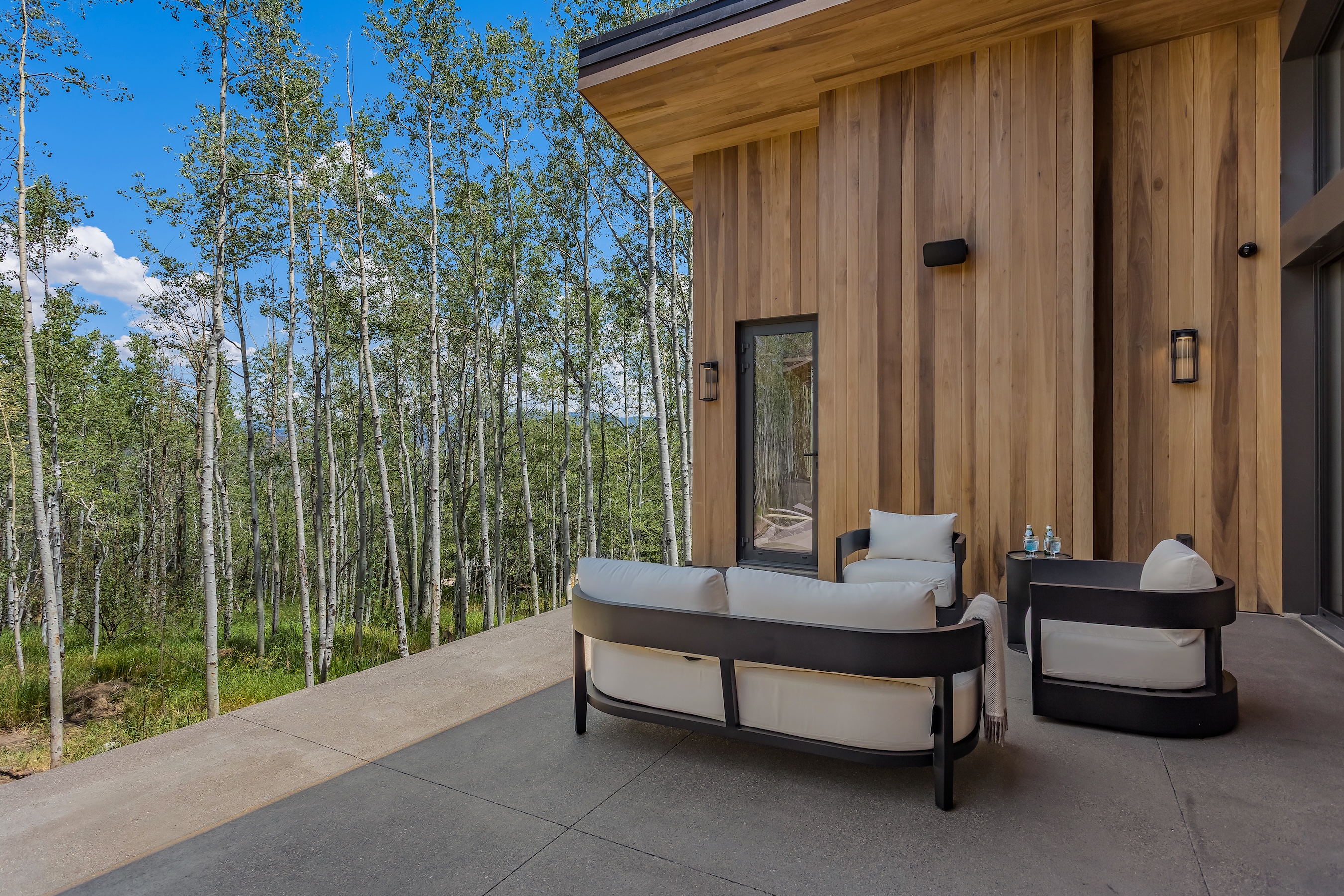  231 Maple Ridge Lane, Snowmass Village, CO 81615 - 物件實景