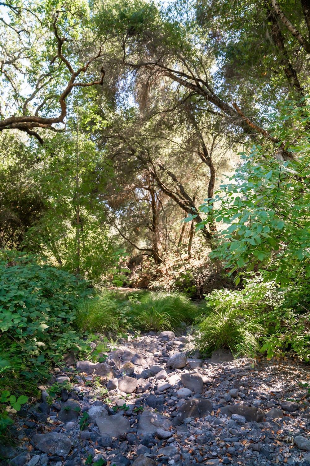 St. Helena, California, 94574, United States, ,Residential,For Sale,1846631