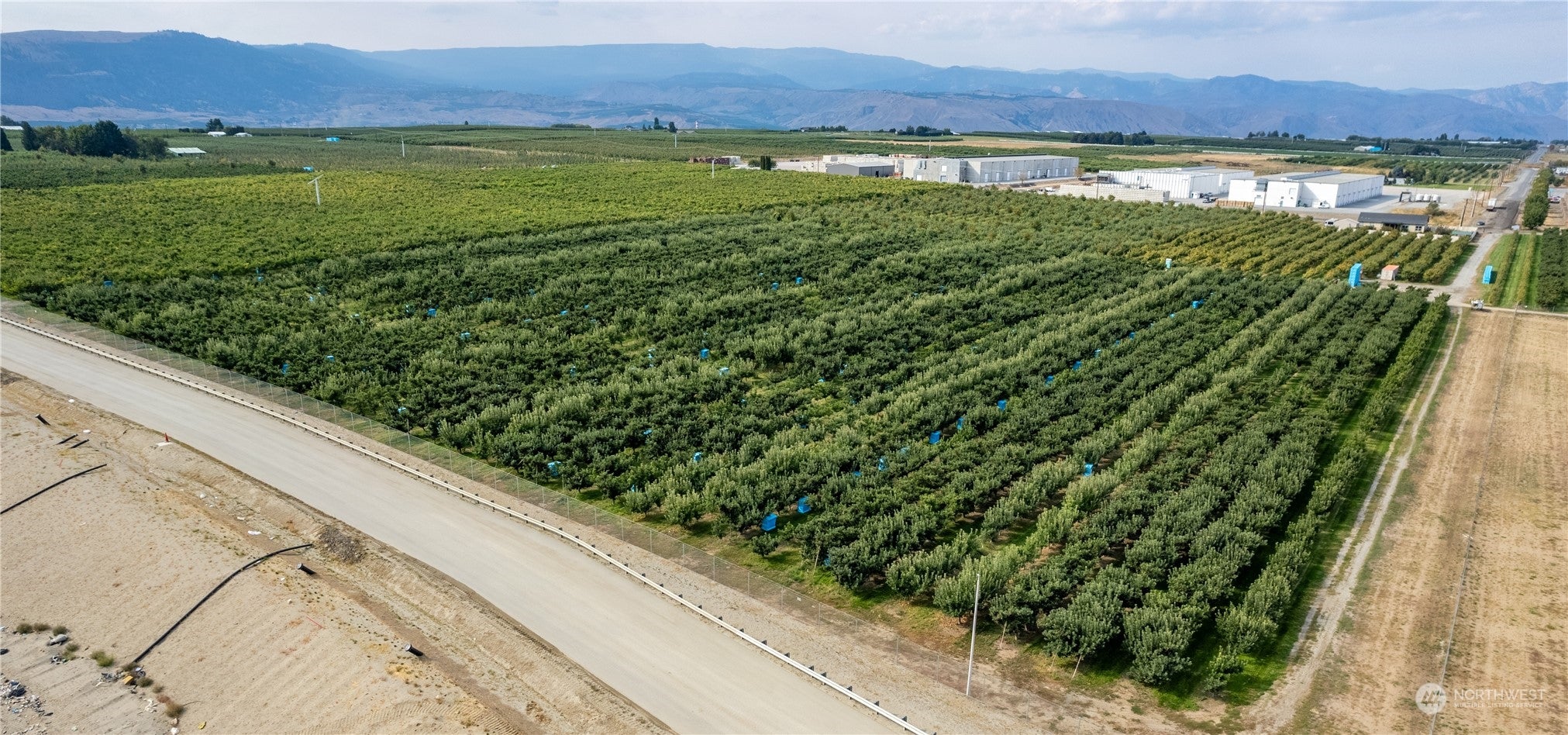 0 S Ward Avenue, East Wenatchee, Washington, 98802, United States, ,Land,For Sale,0 S Ward Avenue,1517879