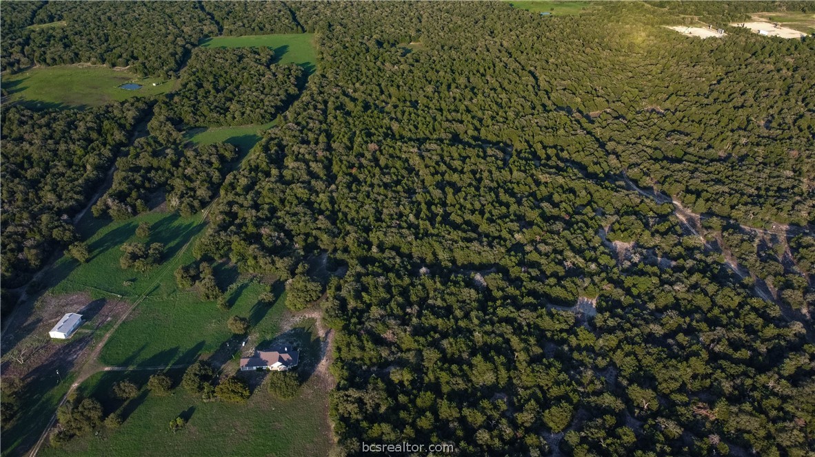 5632 County Road 317, Caldwell, Texas, 77836, United States, ,Land,For Sale,5632 County Road 317,1609859