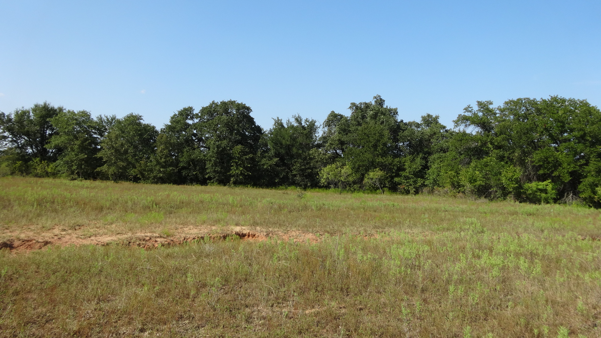 0 Highway 114, Boyd, Texas, 76023, United States, ,Residential,For Sale,0 Highway 114,1008641