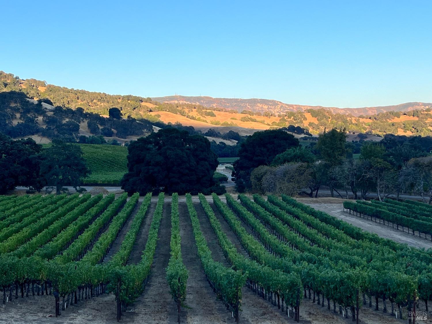 Napa, California, 94558, United States, 3 Bedrooms Bedrooms, ,3 BathroomsBathrooms,Residential,For Sale,1991897