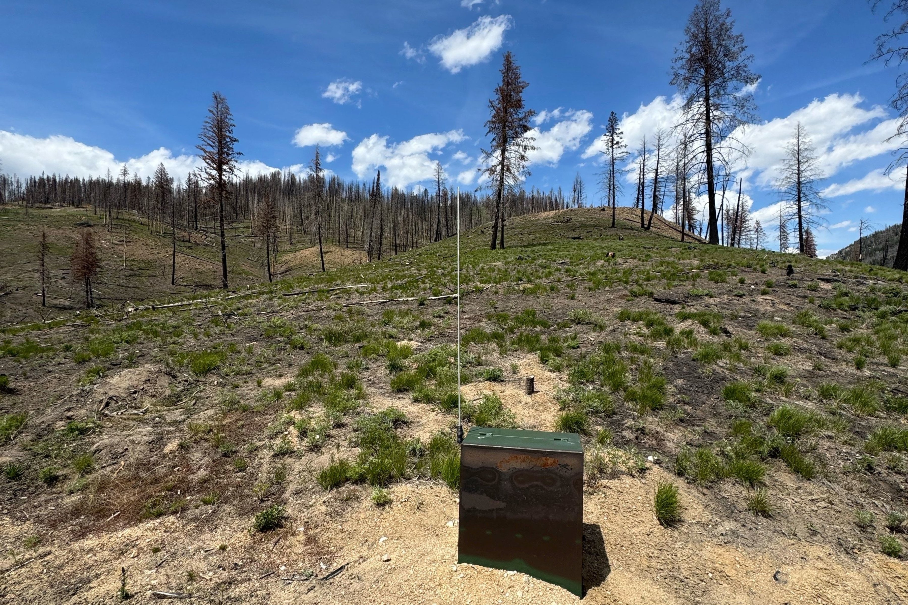  Rare Sawtooth Basin Homesite Near Stanley - 物件實景