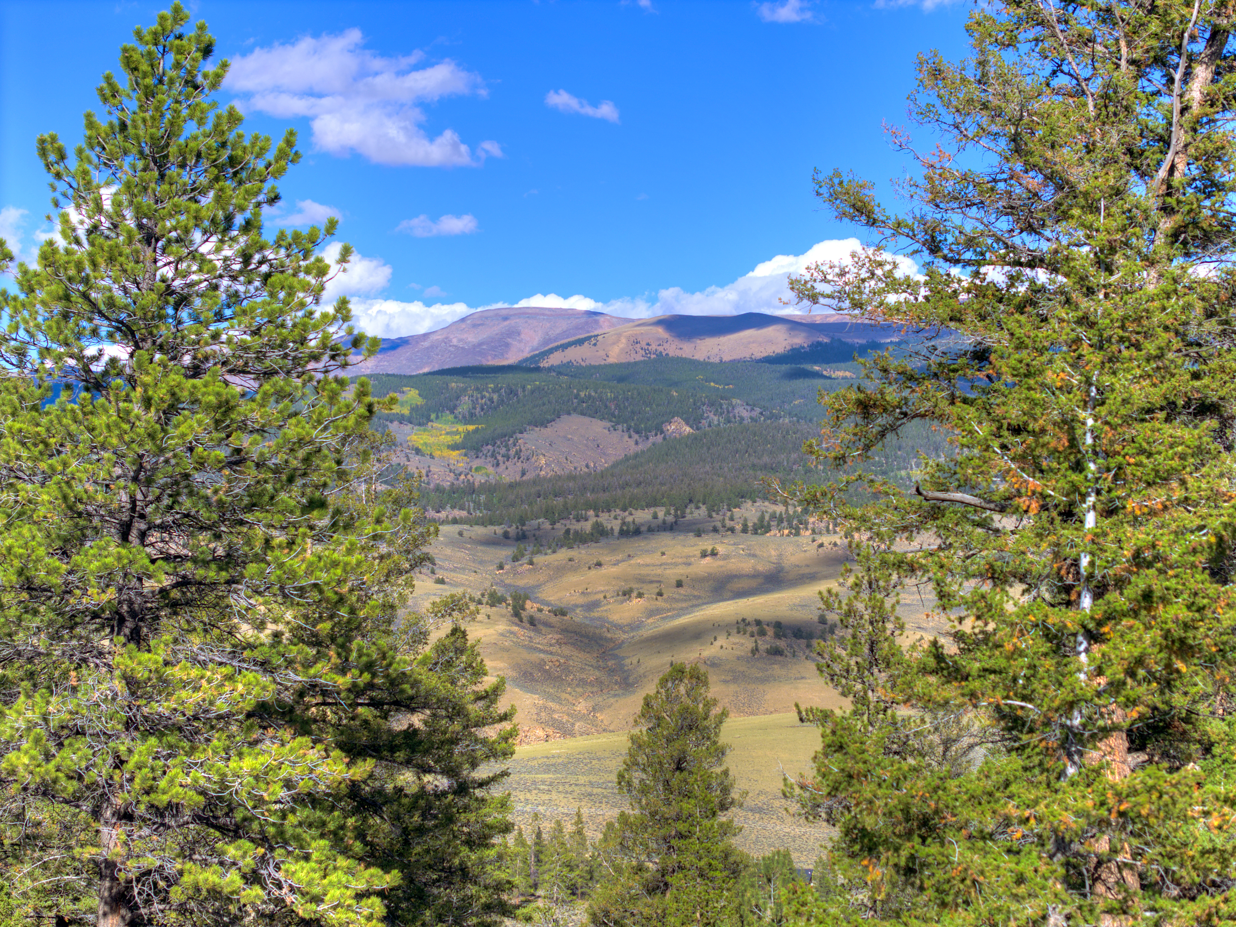  501 Reva Ridge Road, Twin Lakes, CO, 81251 - 物件實景