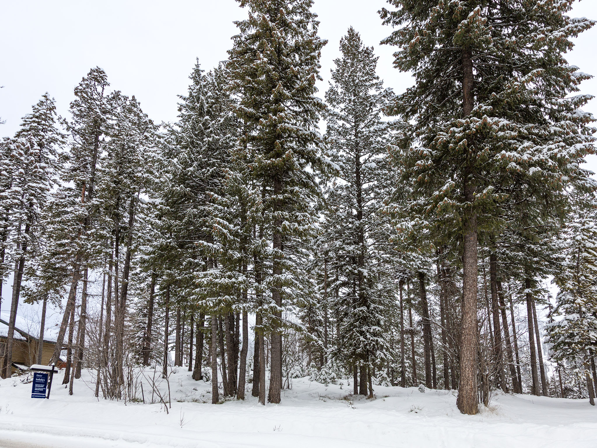  128 Ridge Run Drive - 物件實景