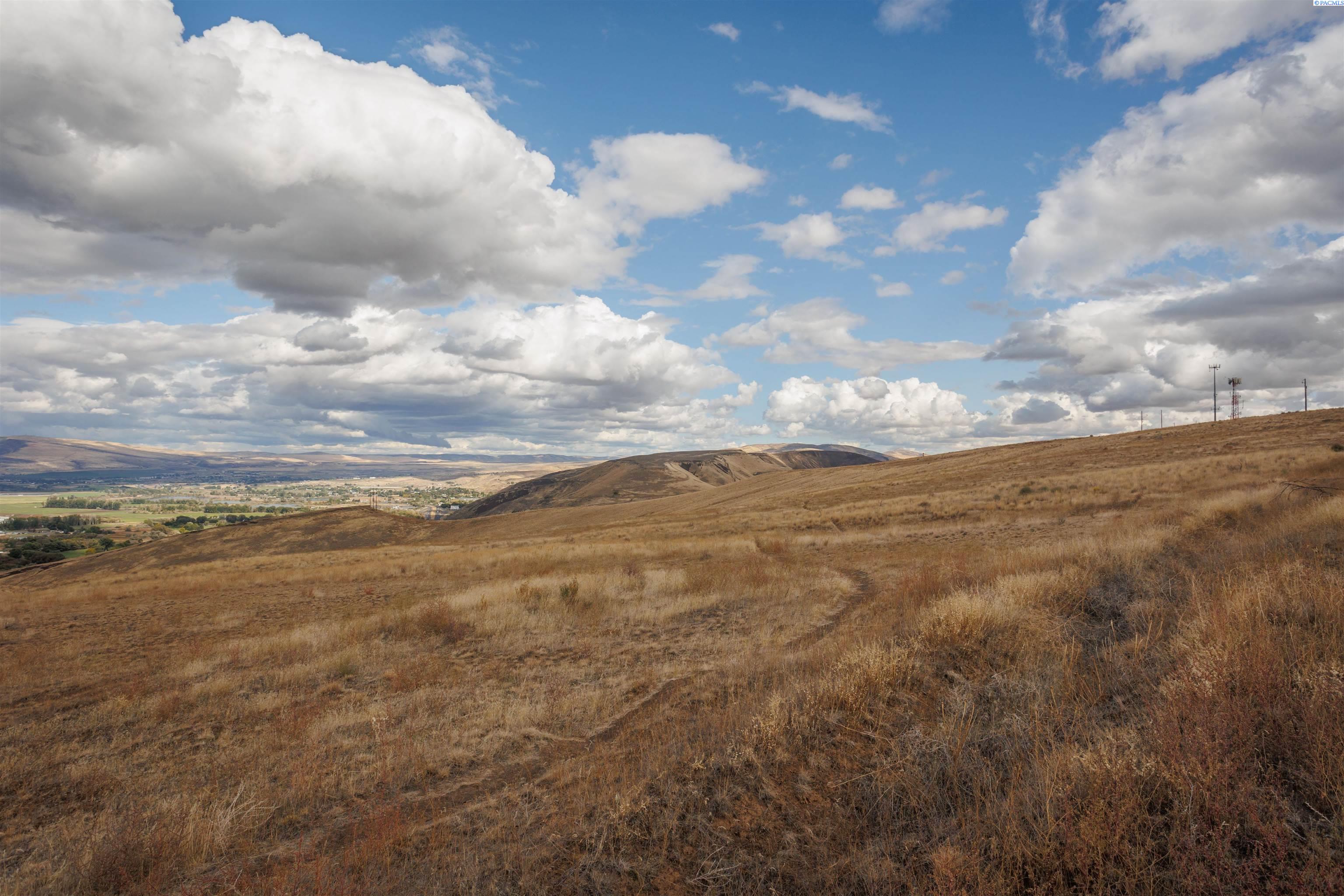 Selah, Washington, 98942, United States, ,Land,For Sale,1977738