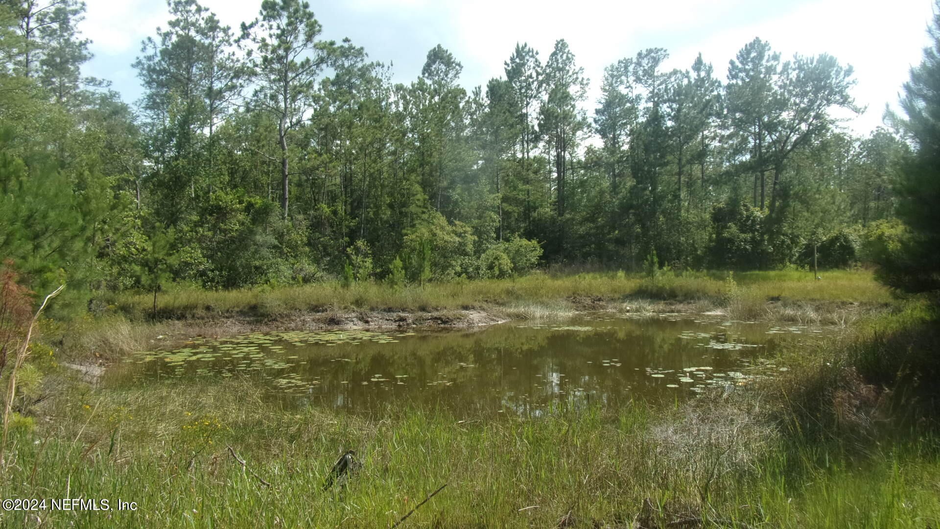 Palatka, Florida, 32177, United States, ,Residential,For Sale,1924559