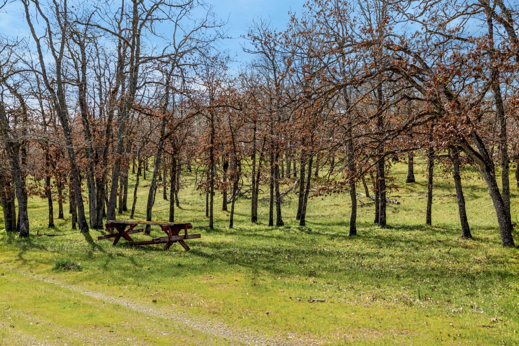  10 CANYON RD Lyle, WA 98635 - 物件實景