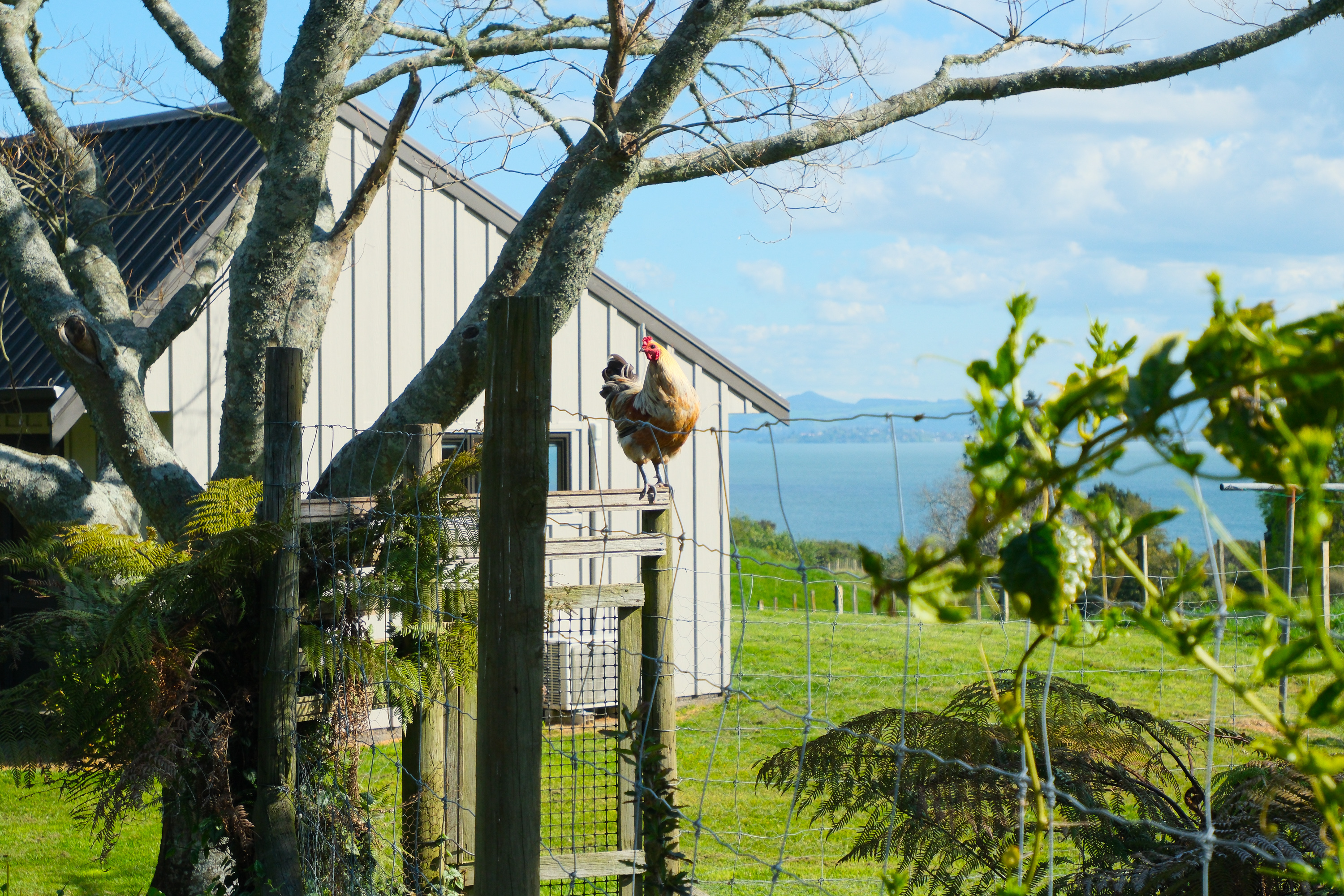  Elevated Lifestyle Living with Sweeping Lake Views - 物件實景