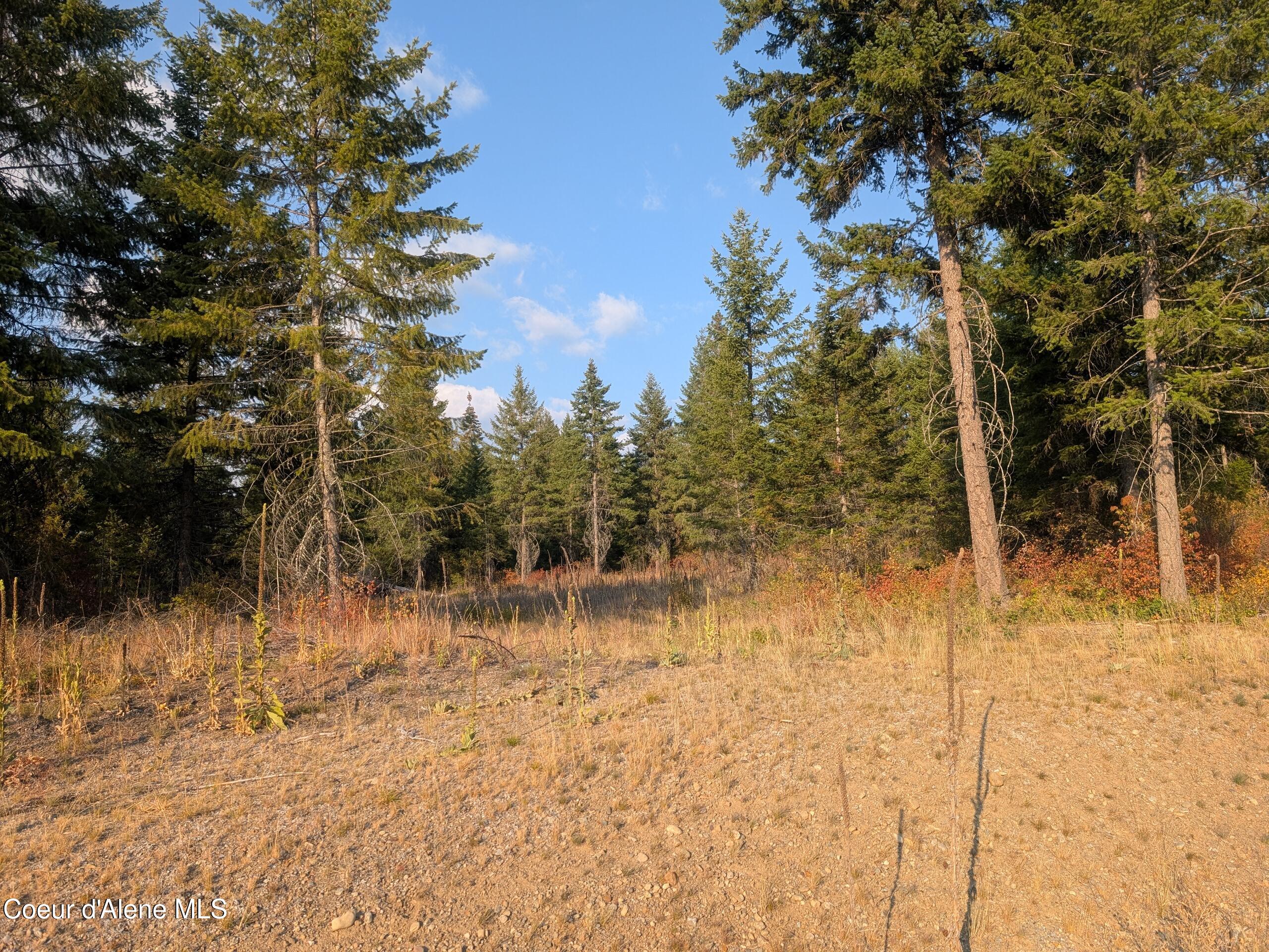 Spirit Lake, Idaho, 83869, United States, ,Land,For Sale,1981864