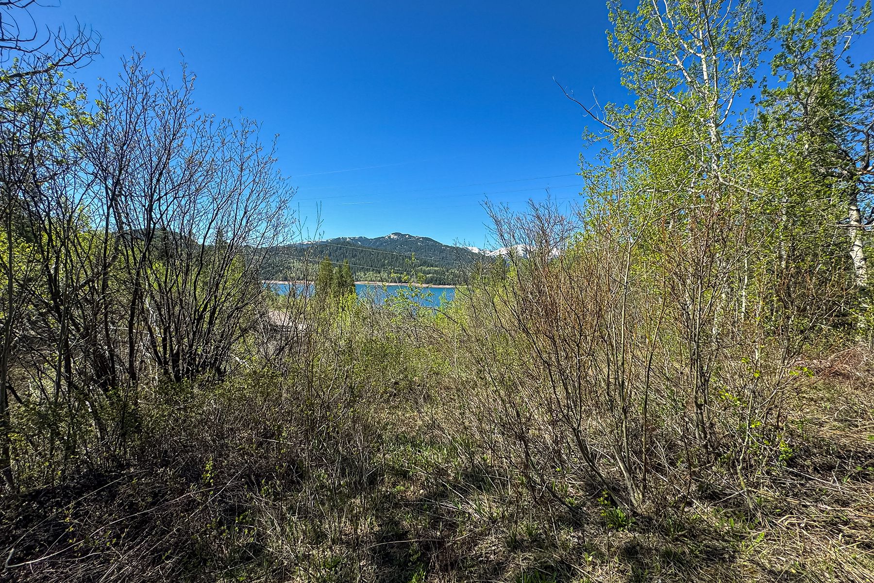  Property Overlooking the Palisades Reservoir - 物件實景