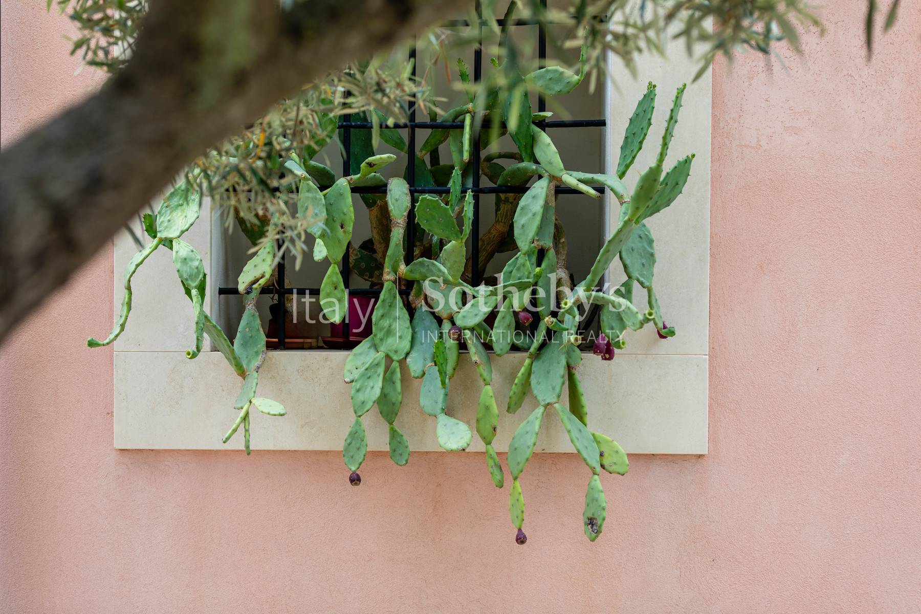  Ancient masseria in Vendicari - 物件實景