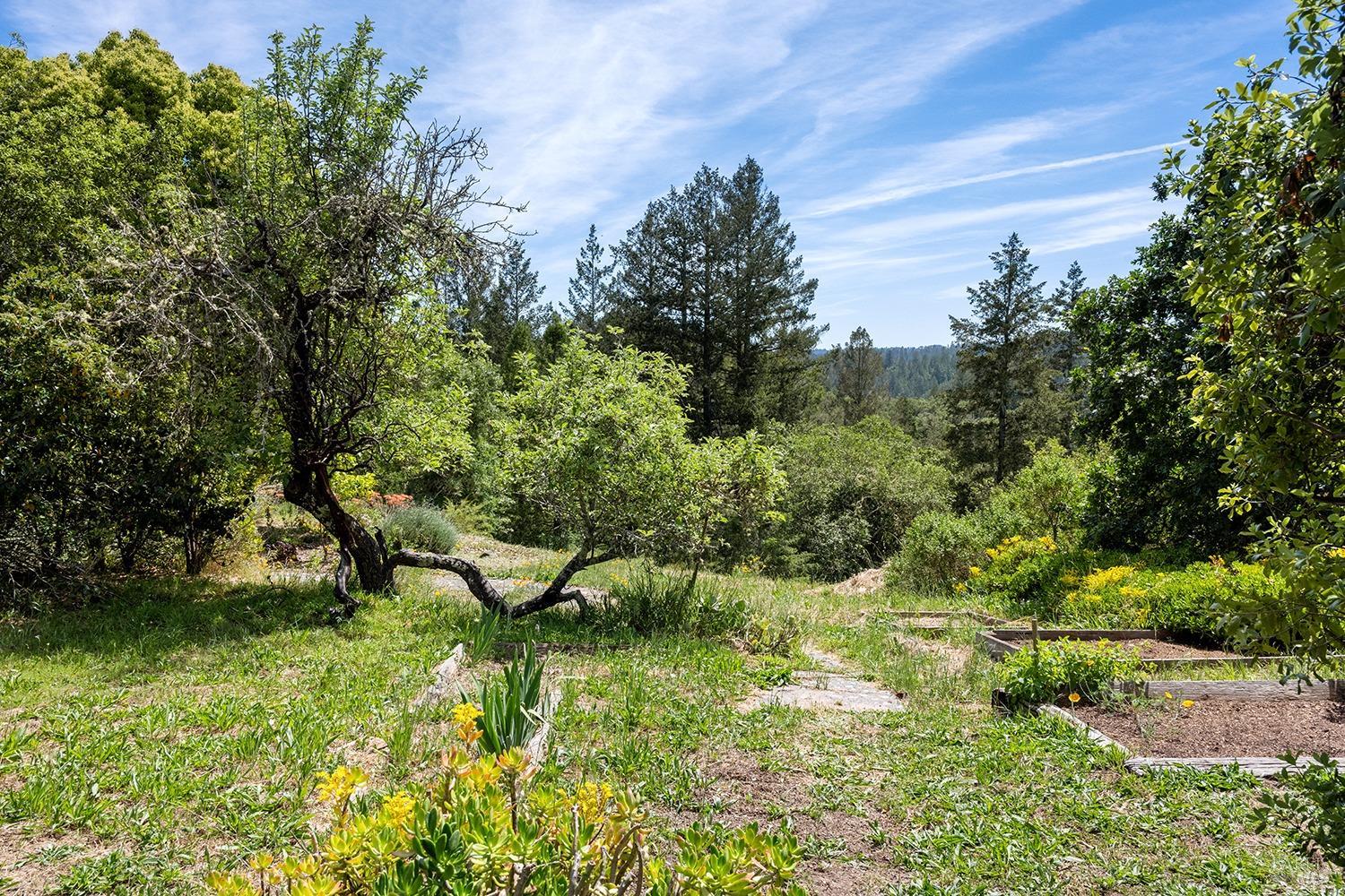 Forestville, California, 95436, United States, 4 Bedrooms Bedrooms, ,3 BathroomsBathrooms,Residential,For Sale,1796757