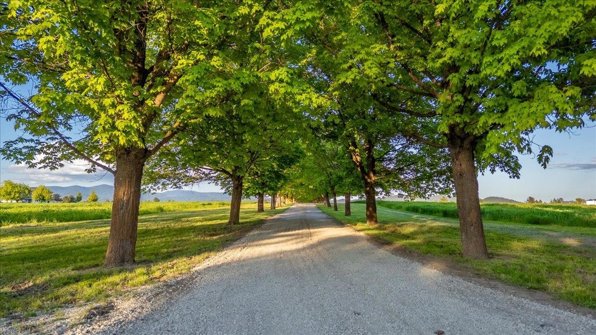 Mead, Washington, 99021, United States, ,Land,For Sale,1977316