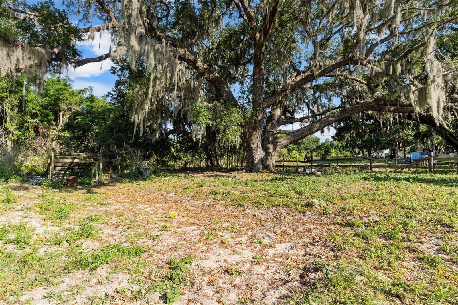 HAINES CITY, Florida, 33844, United States, 4 Bedrooms Bedrooms, ,3 BathroomsBathrooms,Residential,For Sale,1983329