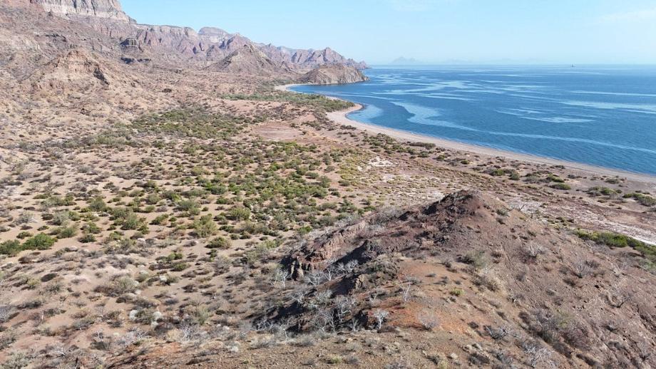 Parcela, Loreto, Baja California Sur, 23896, Mexico, 1 Bedroom Bedrooms, ,Residential,For Sale,Parcela,1644593