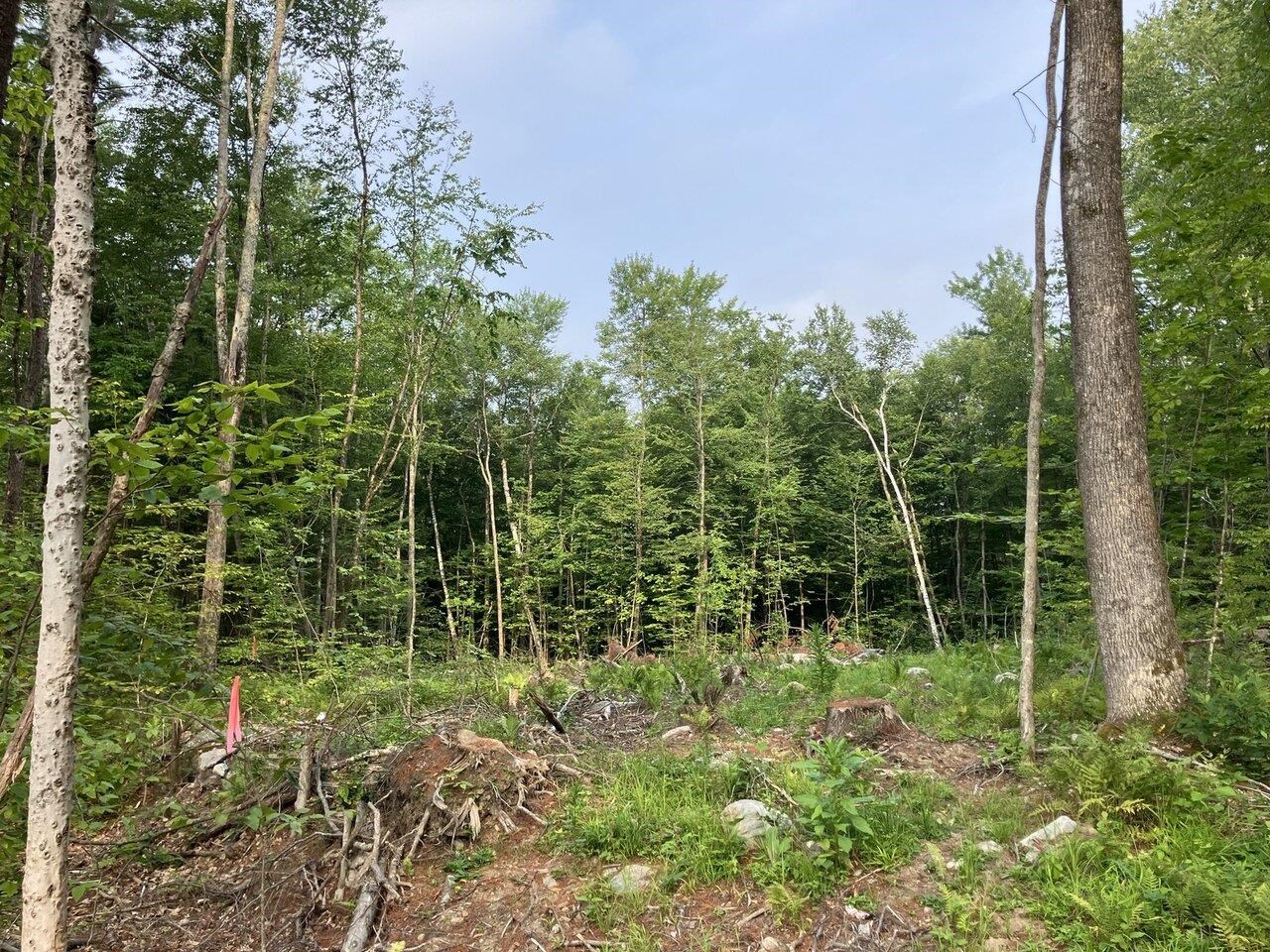 Leicester, Vermont, 05733, United States, ,Land,For Sale,1916983