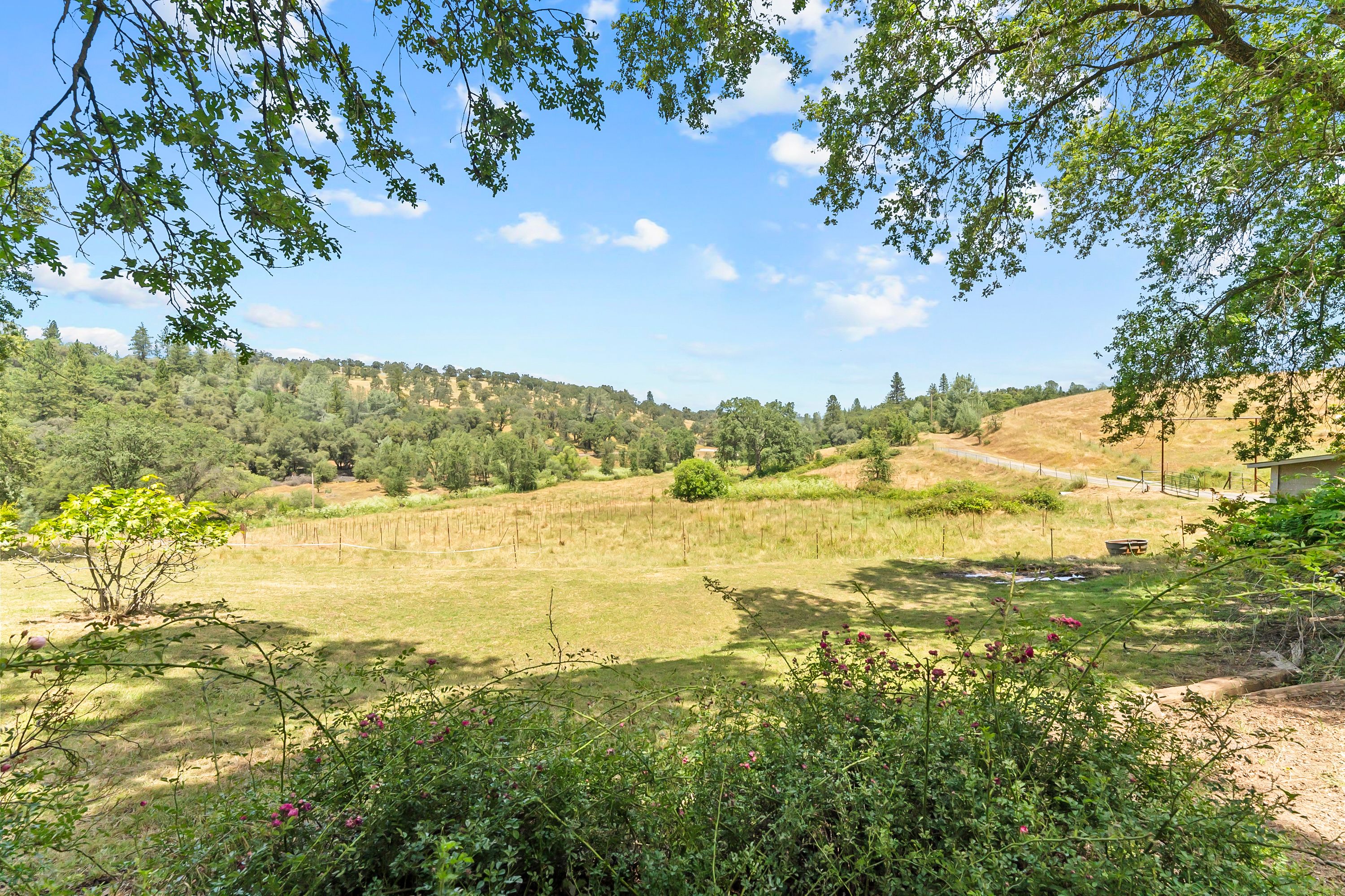  Amoruso Ranch 1000+ Acres Legacy - 物件實景