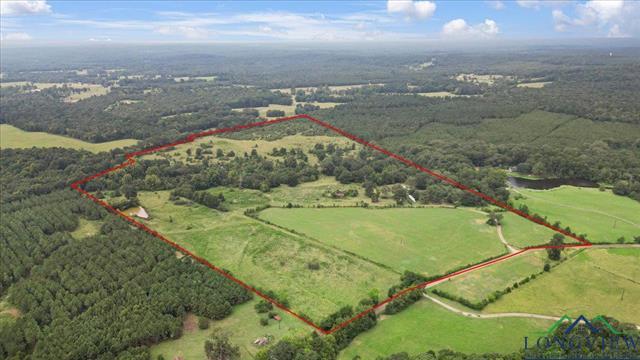 Henderson, Texas, 75654, United States, ,Land,For Sale,1951348