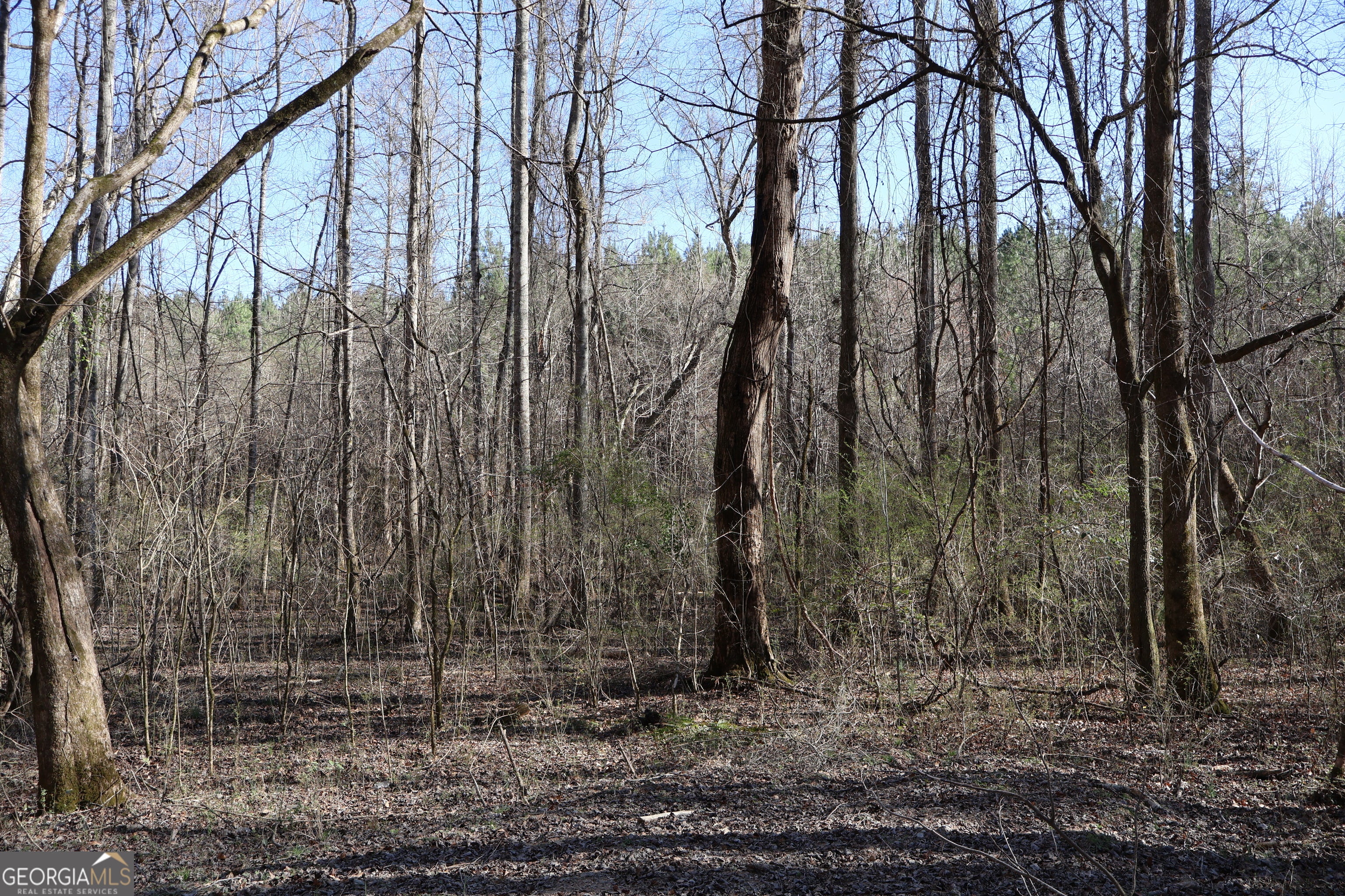 Forsyth, Georgia, 31029, United States, ,Land,For Sale,1858913