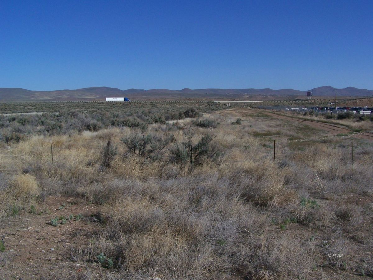 Elko, Nevada, 89801, United States, ,Land,For Sale,1838764