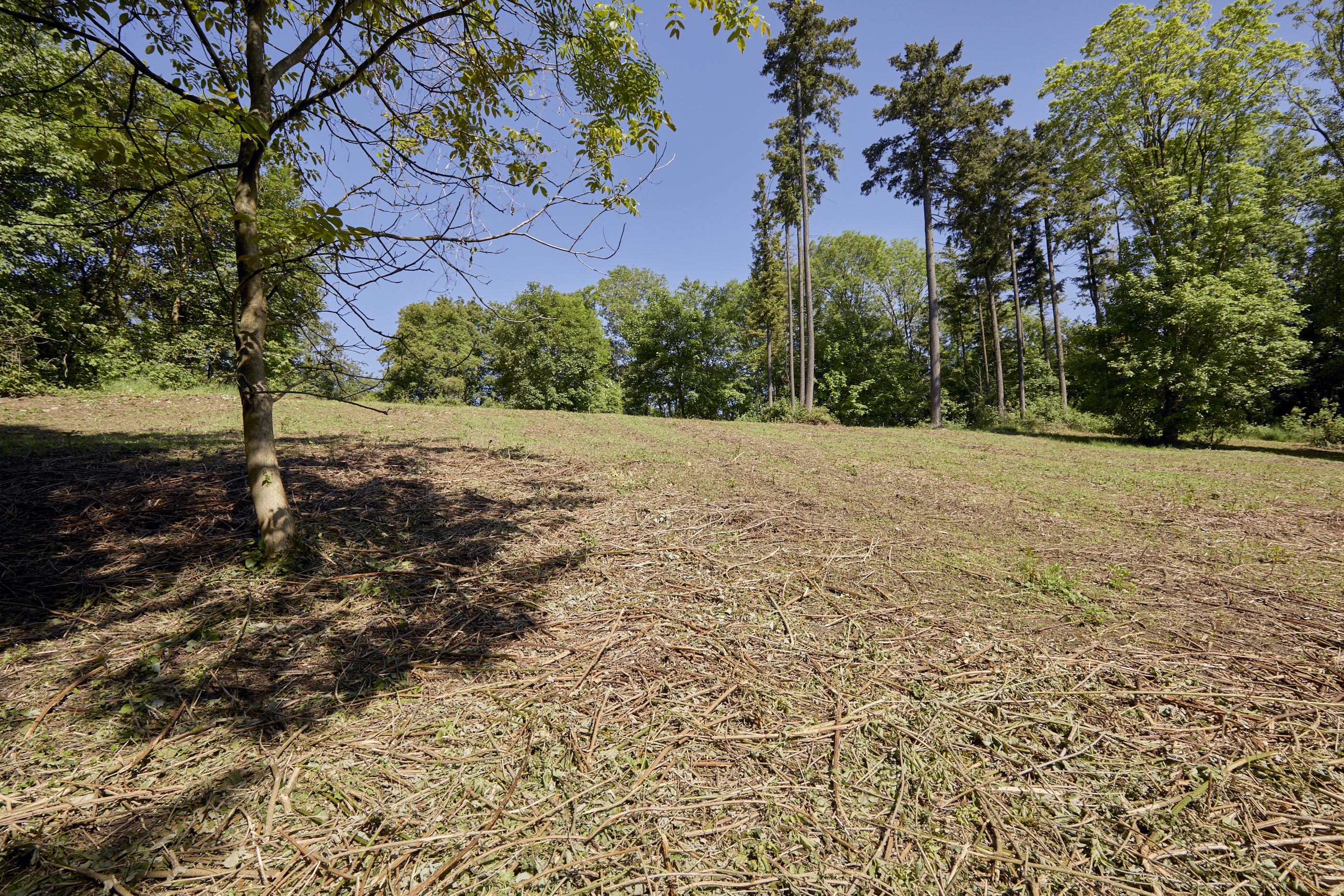  Domaine privé à Manternach - 物件實景
