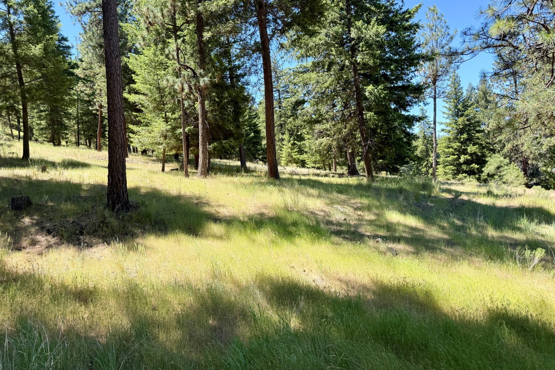  5920 NE Cerysa Lane Prineville, OR 97754 - 物件實景