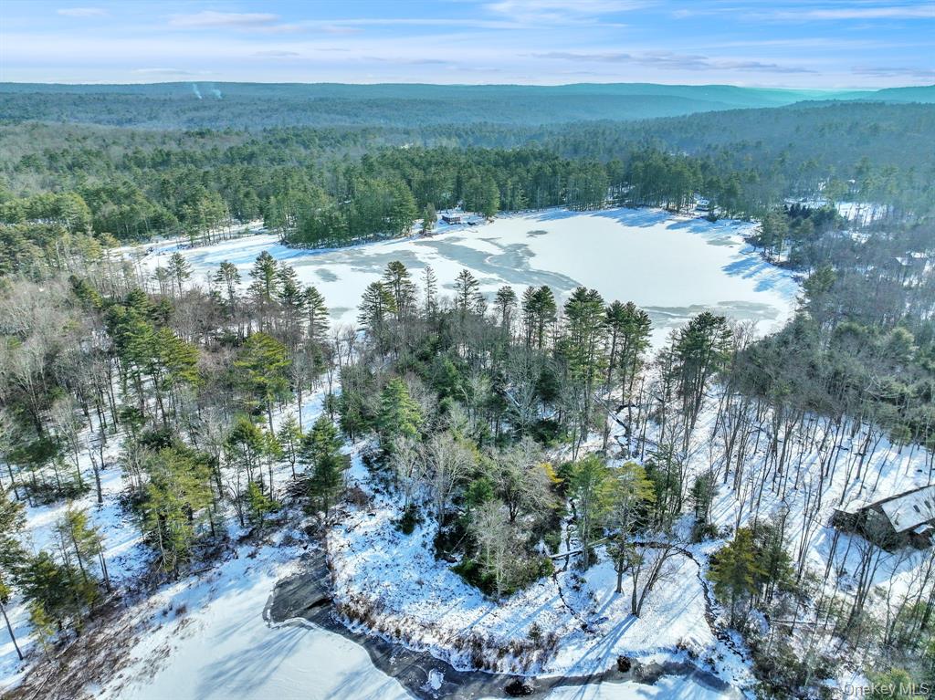 Barryville, New York, 12719, United States, ,Land,For Sale,2005603