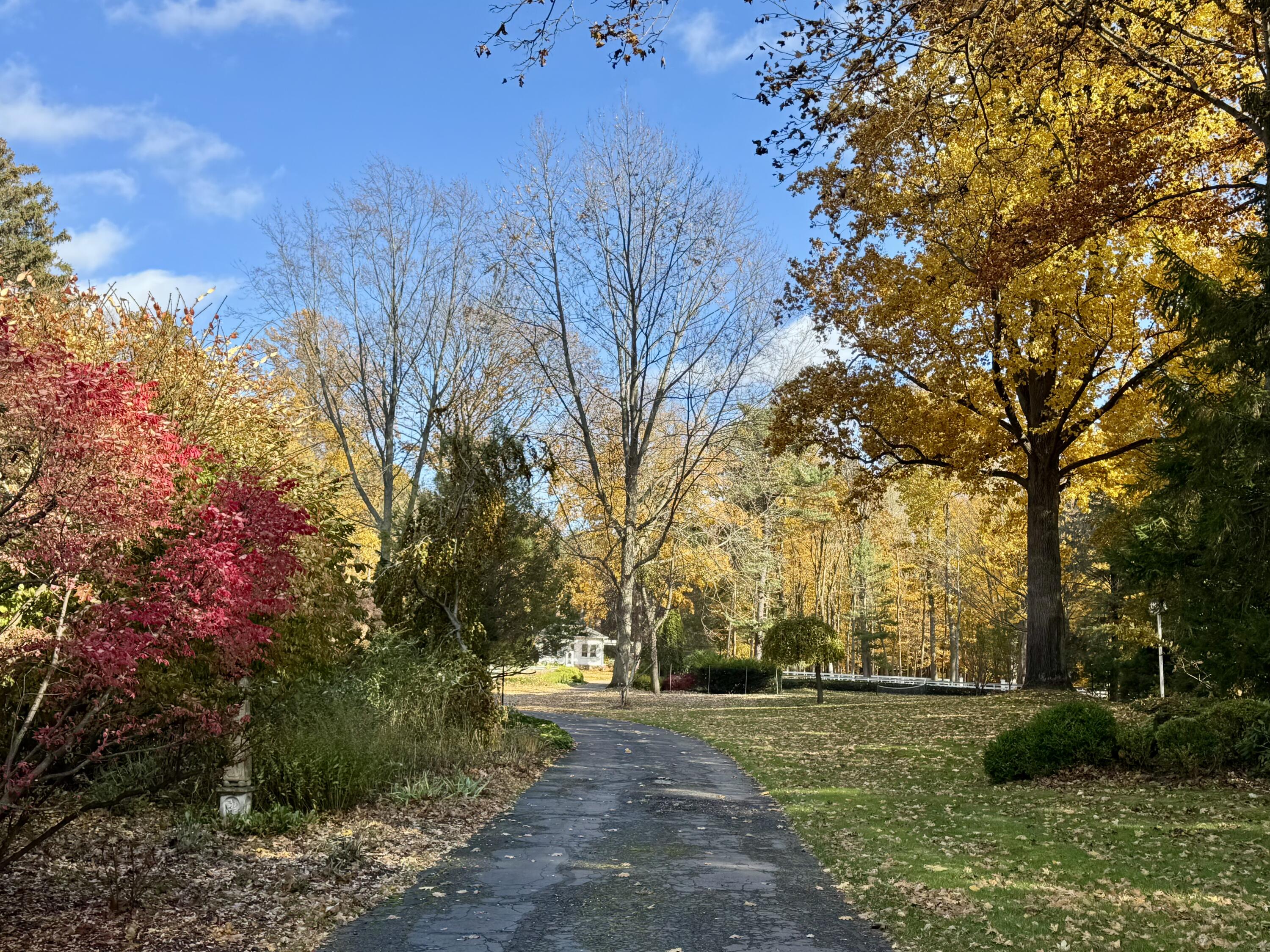 Fennville, Michigan, 49408, United States, 9 Bedrooms Bedrooms, ,10 BathroomsBathrooms,Residential,For Sale,1992421