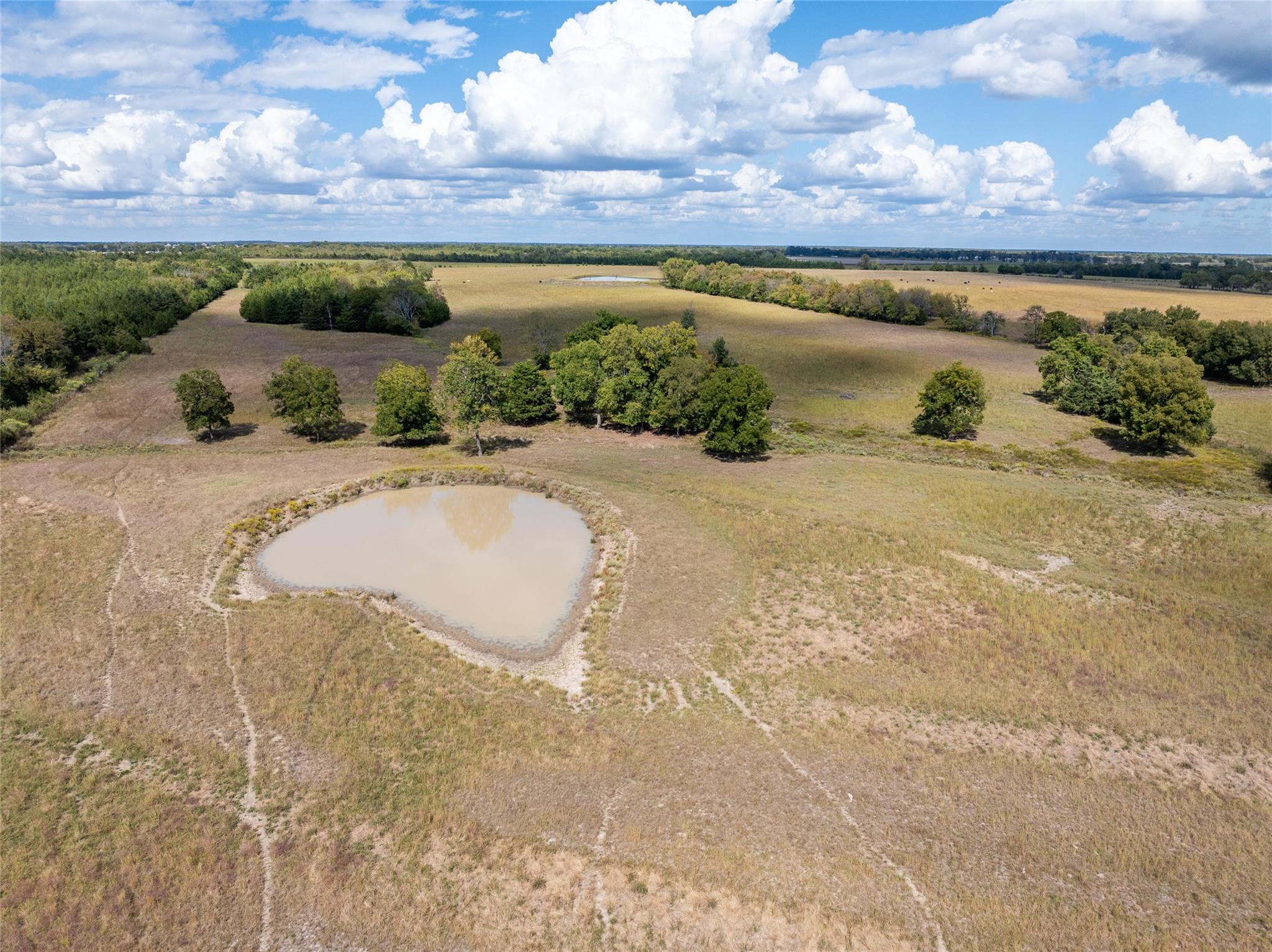 Blossom, Texas, 75416, United States, ,Residential,For Sale,1977937