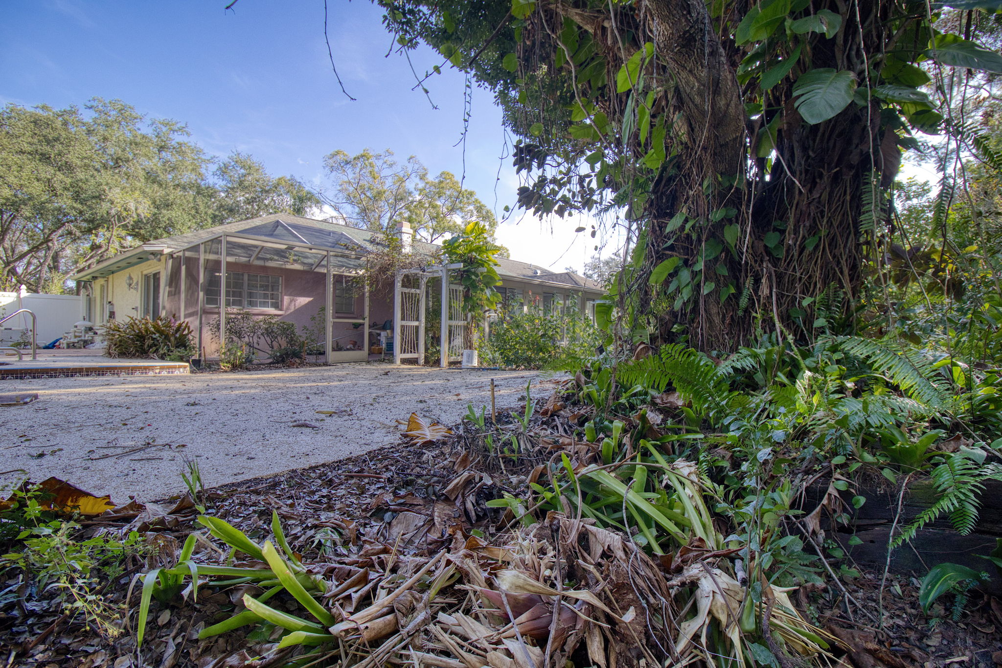 Tampa, Florida, 33613, United States, 4 Bedrooms Bedrooms, ,1 BathroomBathrooms,Residential,For Sale,2006363